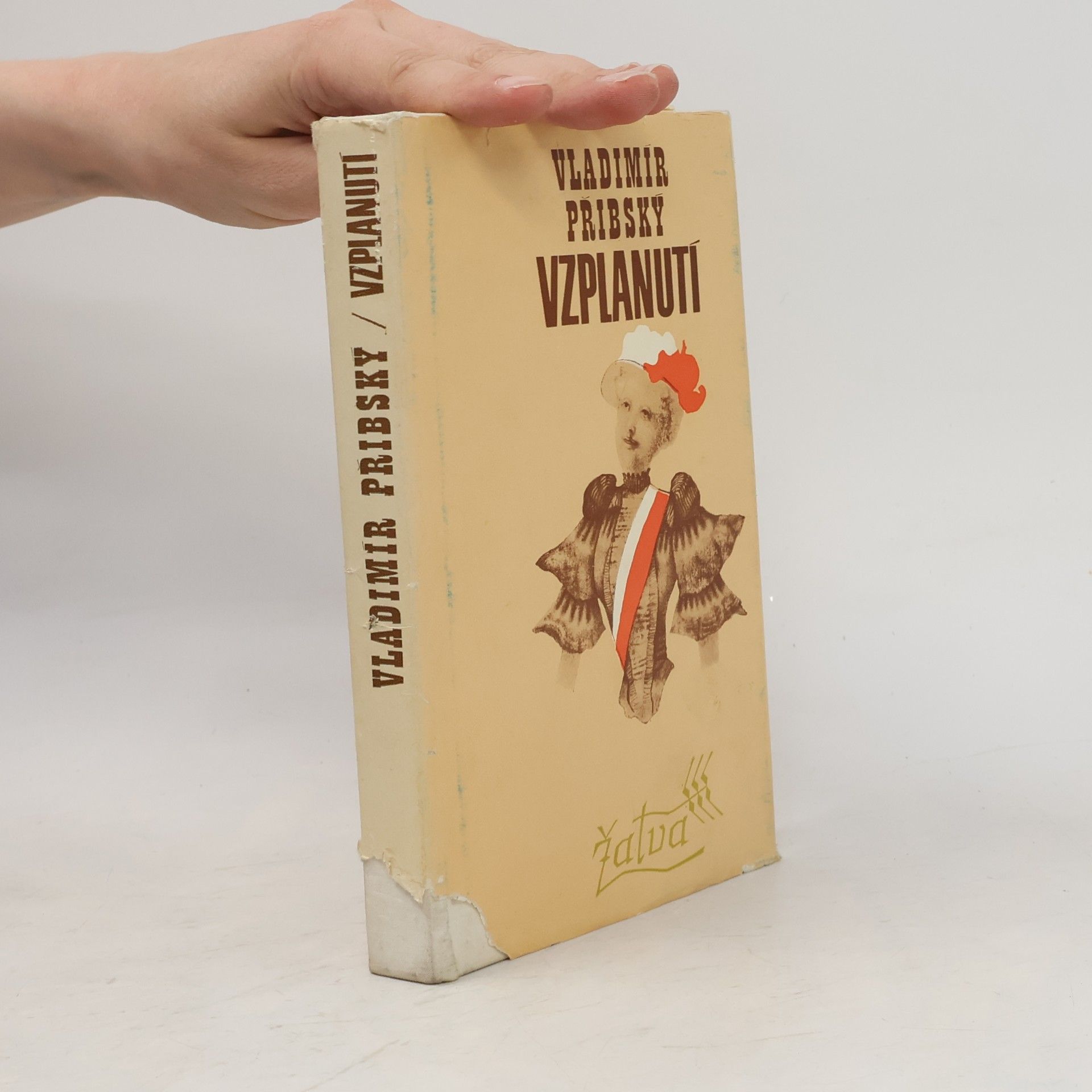 Vladimír Přibský Vzplanutí