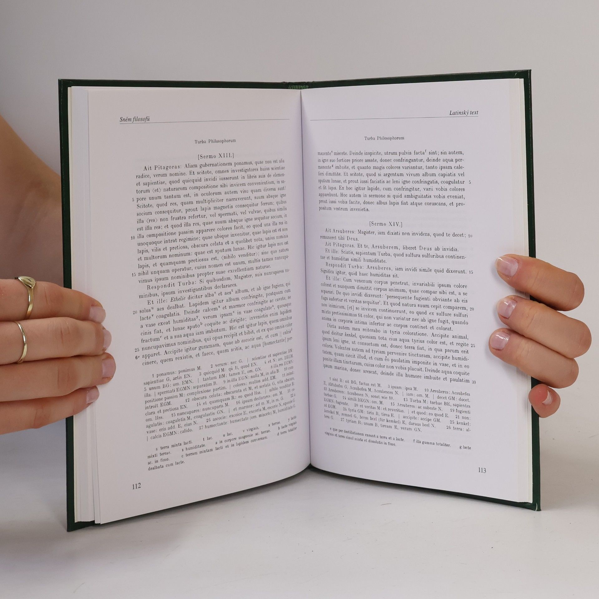 Lukáš Loužecký Sněm filosofů = (Turba philosophorum)