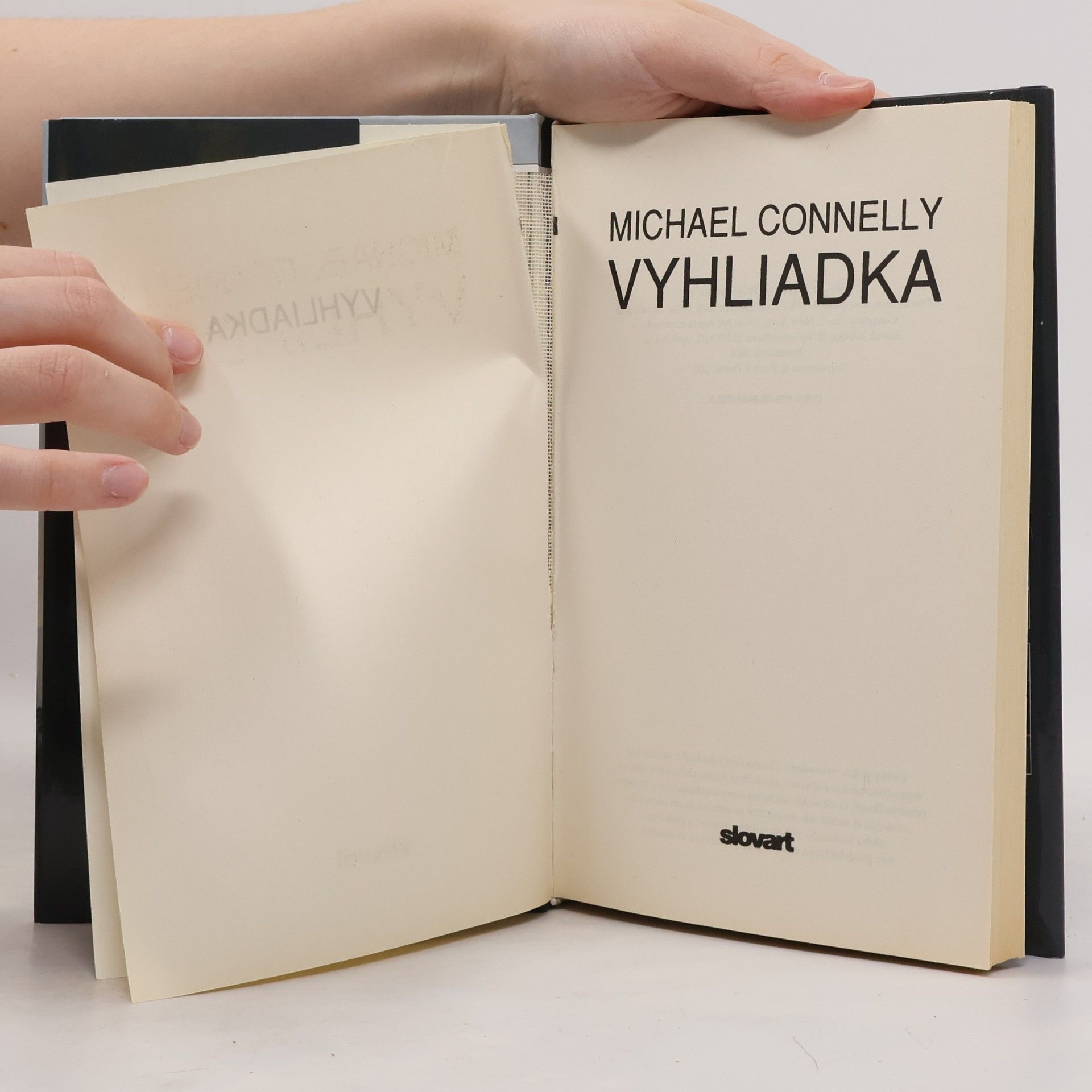 Michael Connelly Vyhliadka