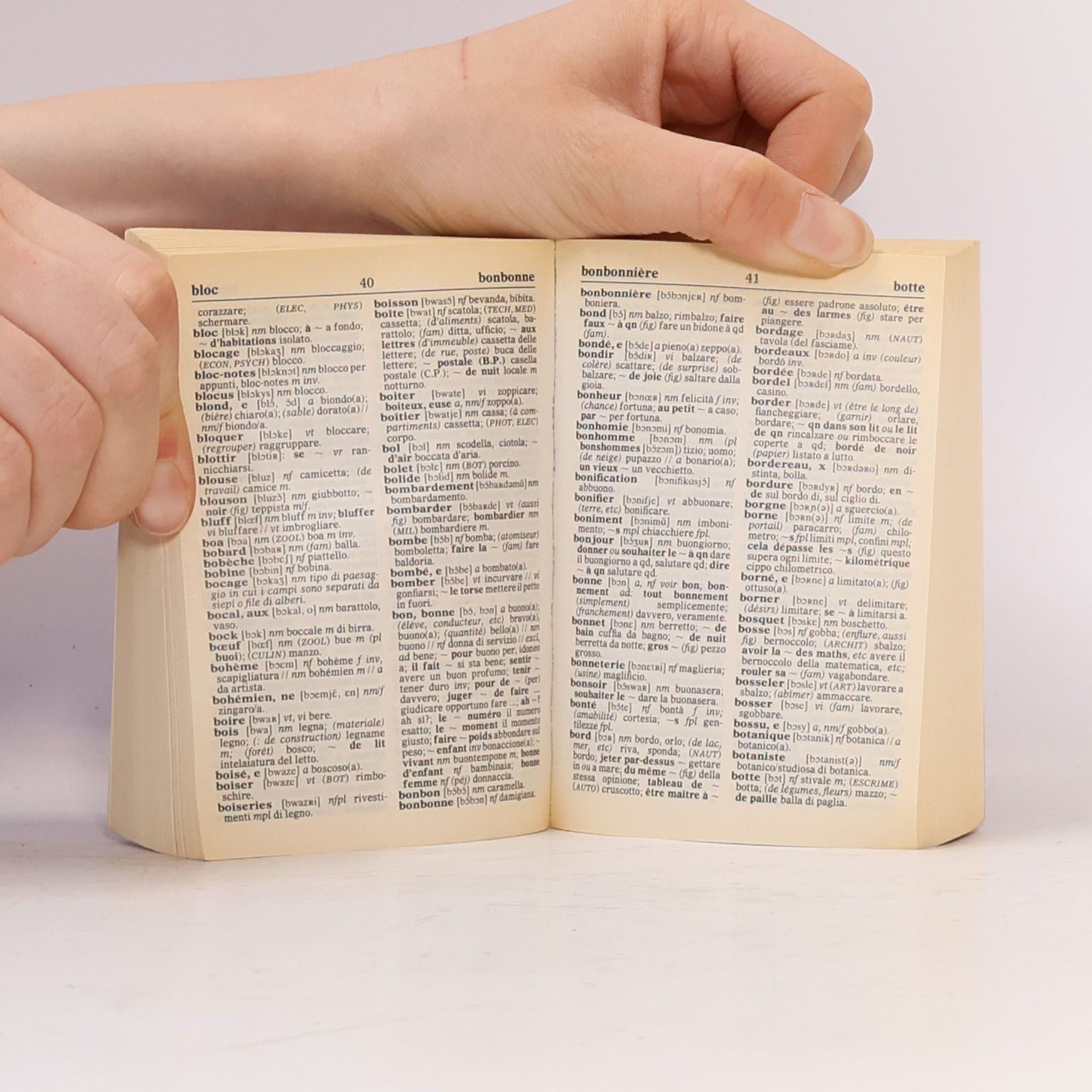 Kolektív autorov Dizionario francese