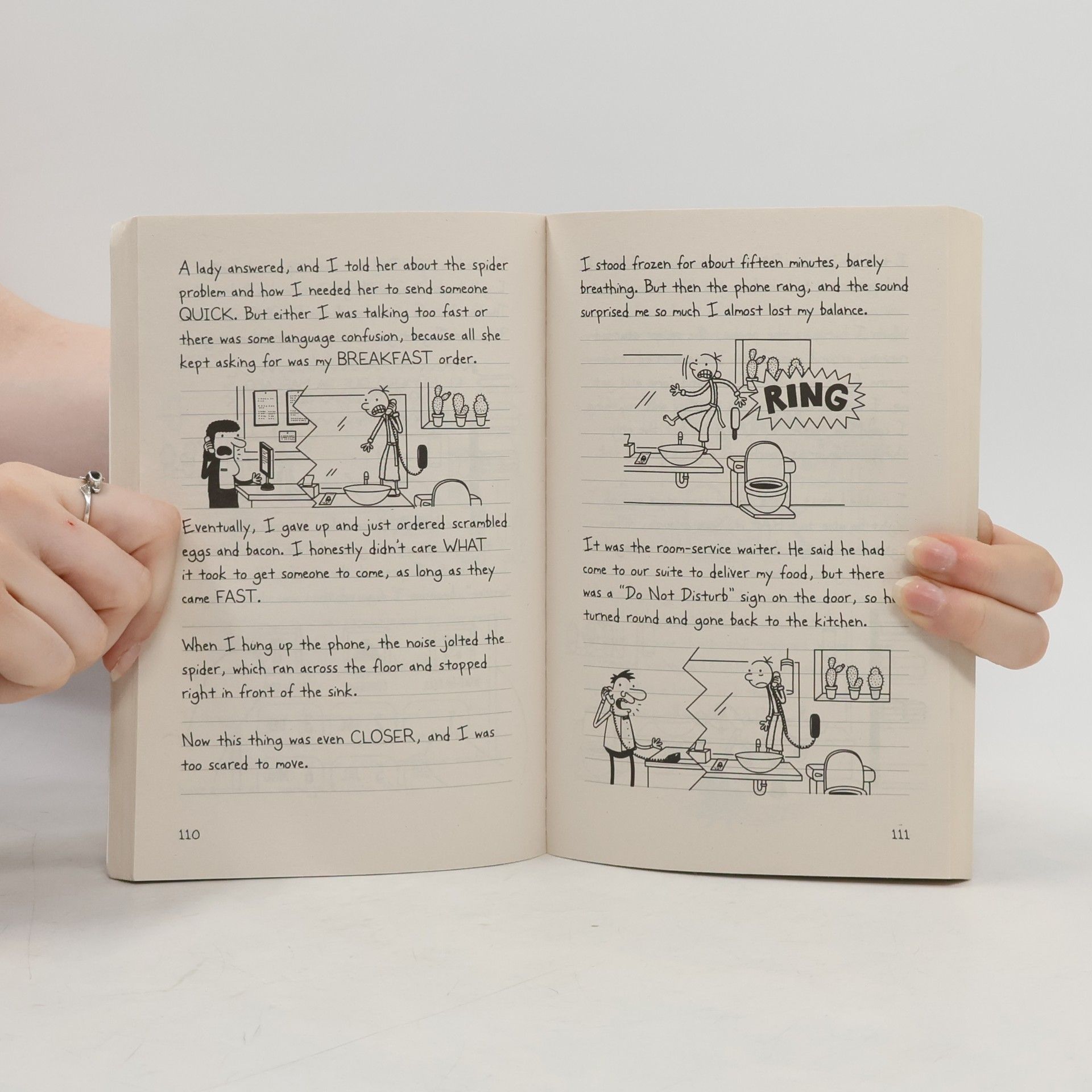 Jeff Kinney Diary of a Wimpy Kid. The Getaway