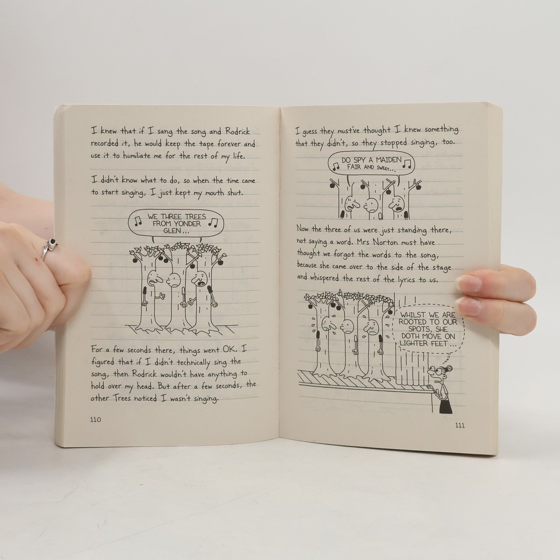 Jeff Kinney Diary of a Wimpy Kid 1