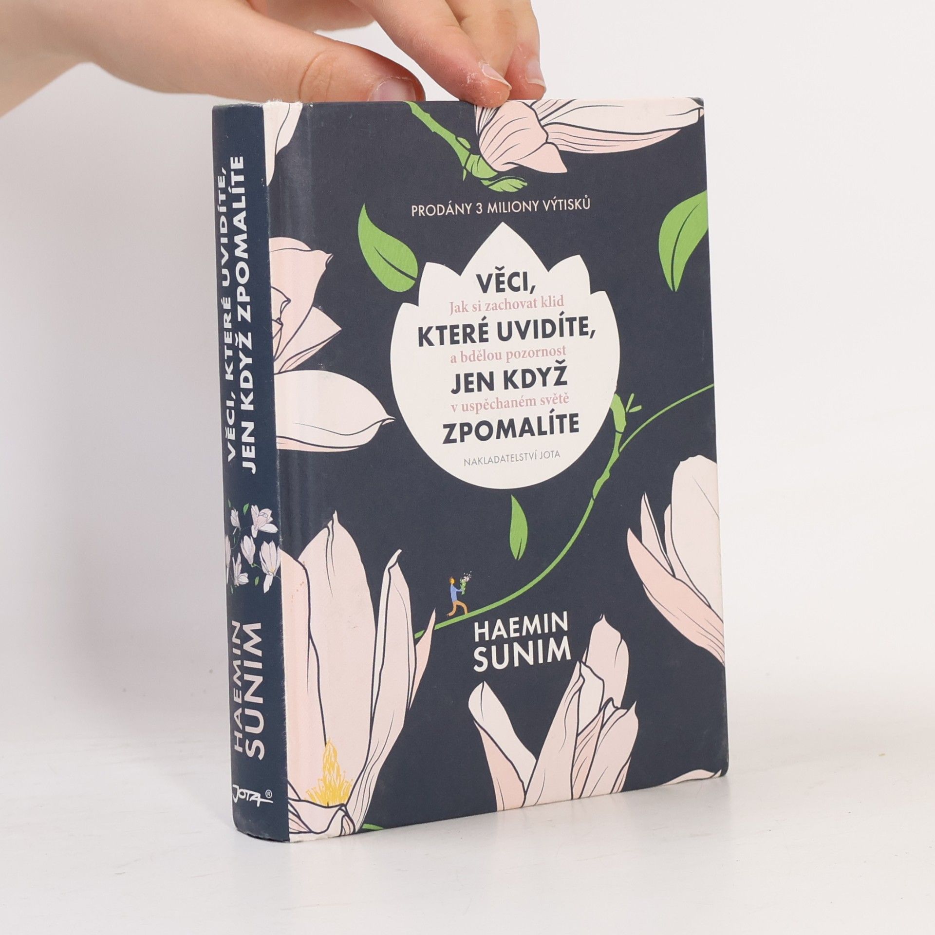 Sunim Haemin Věci, které uvidíte, jen když zpomalíte