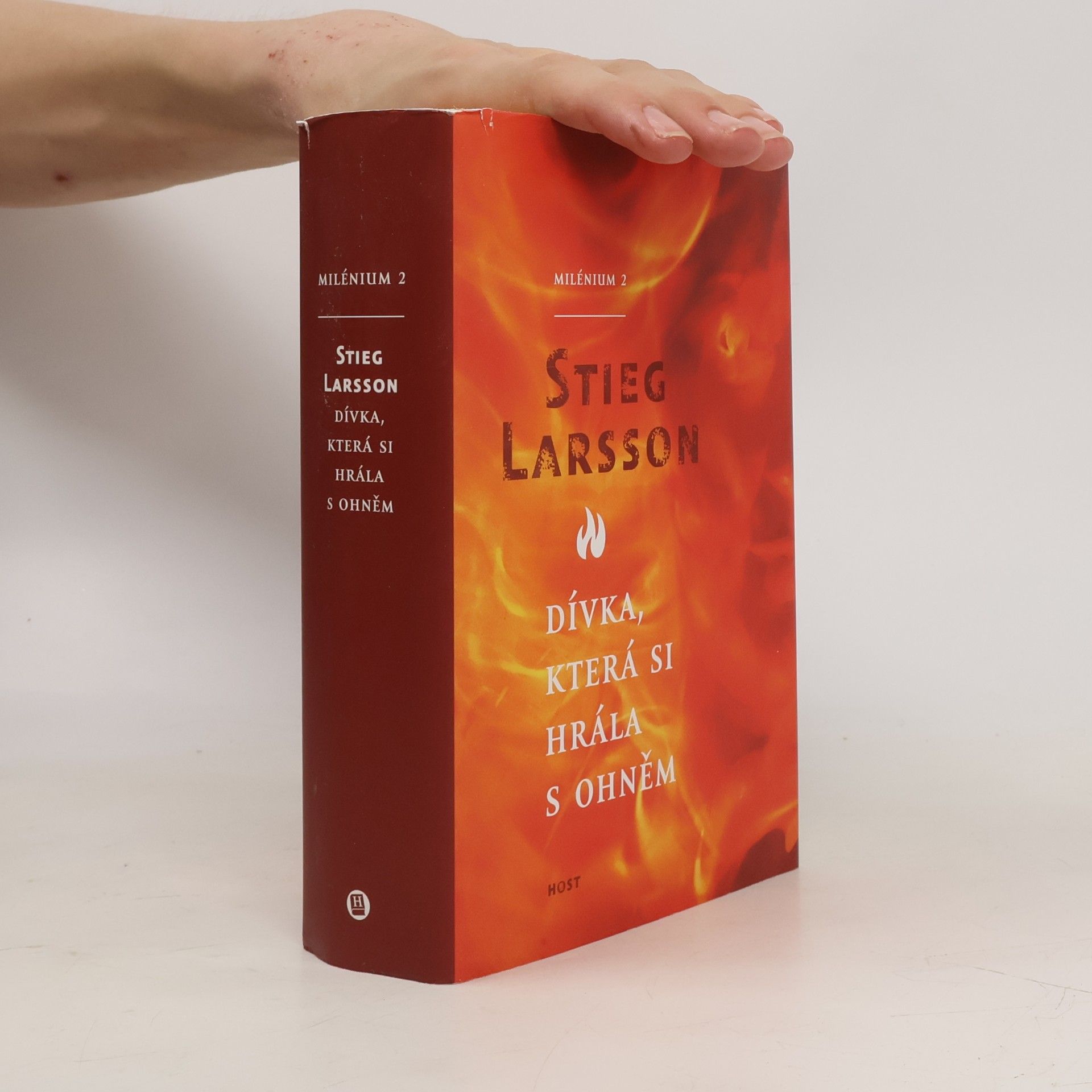 Stieg Larsson Dívka, která si hrála s ohněm