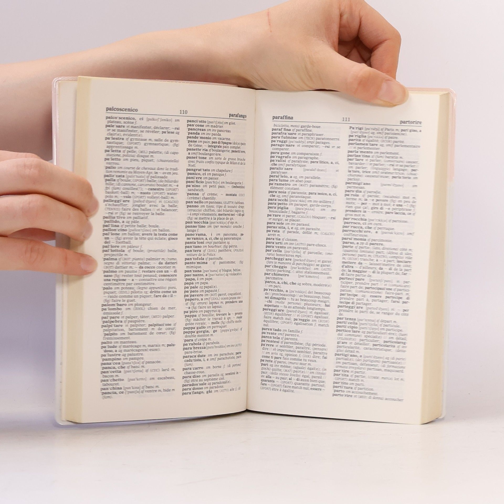Autorenkollektiv Dizionario francese