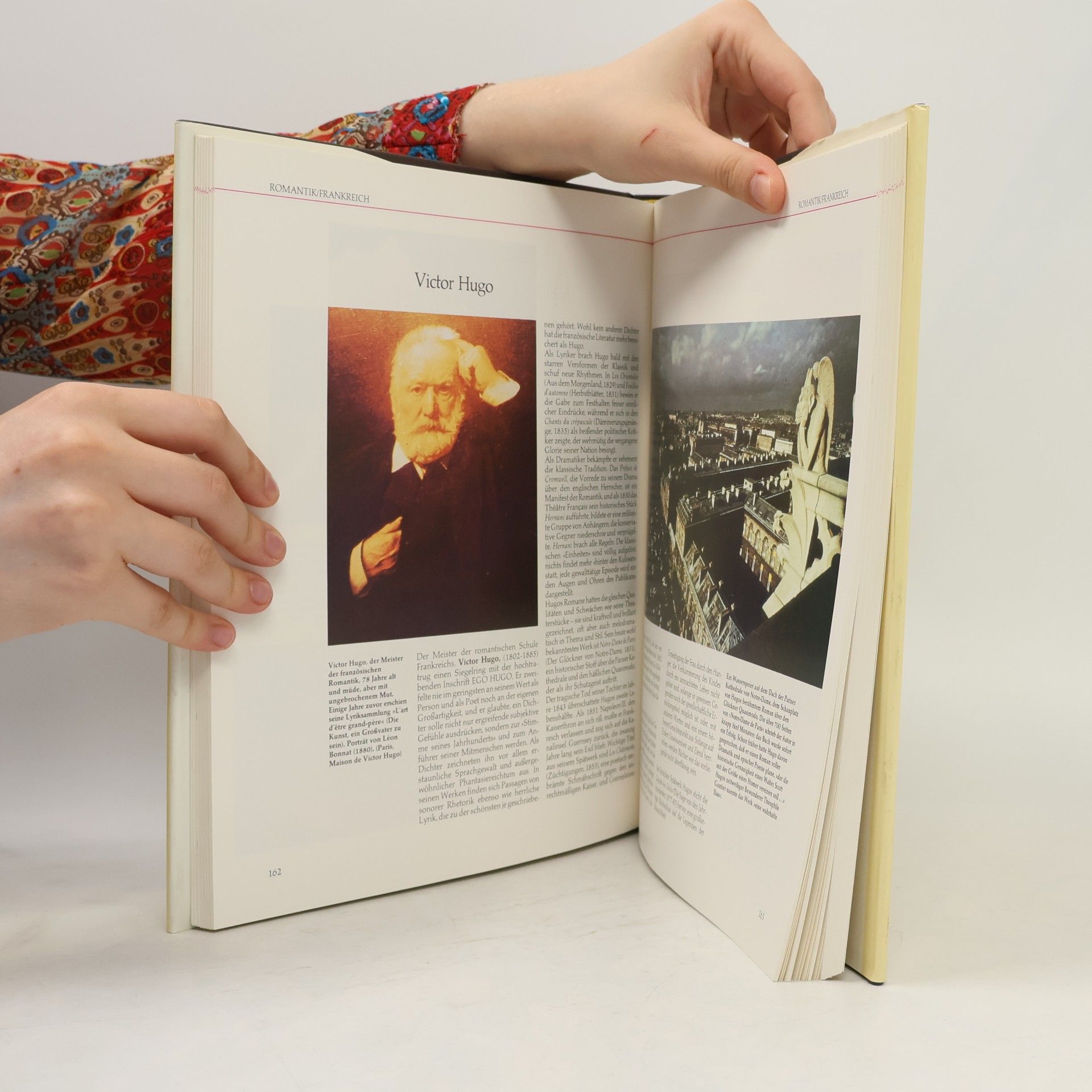 Tore Zetterholm Illustrierte Geschichte der Weltliteratur