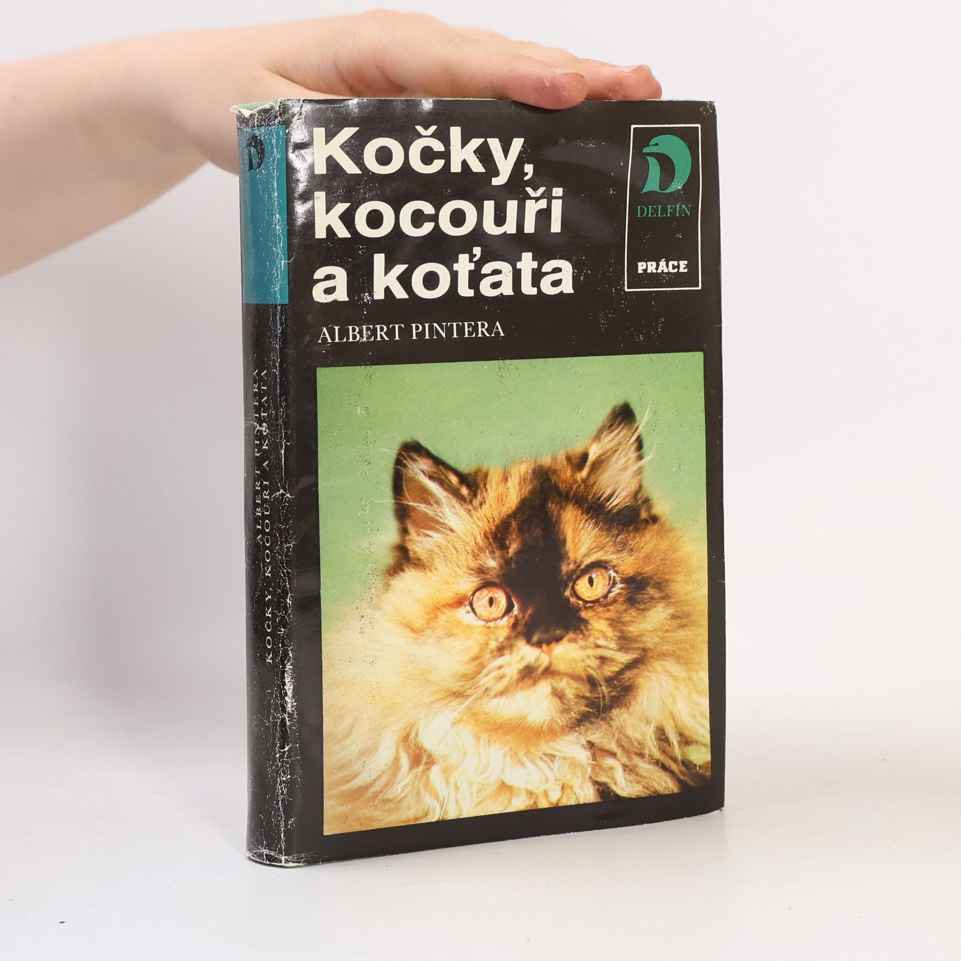Albert Pintera Kočky, kocouři a koťata
