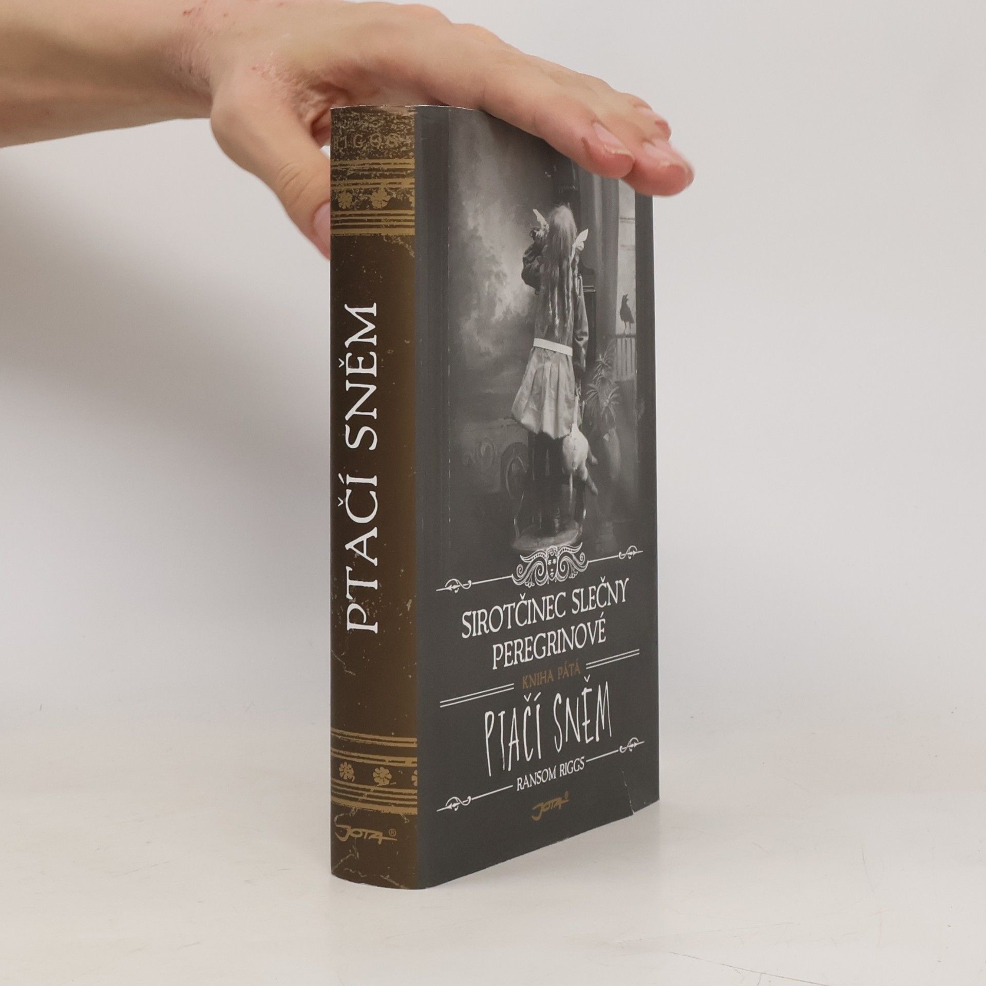 Ransom Riggs Ptačí sněm