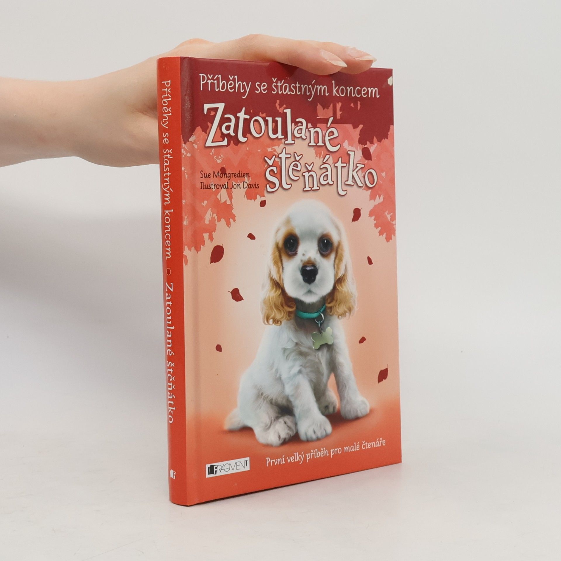 Lucy Diamond Zatoulané štěňátko