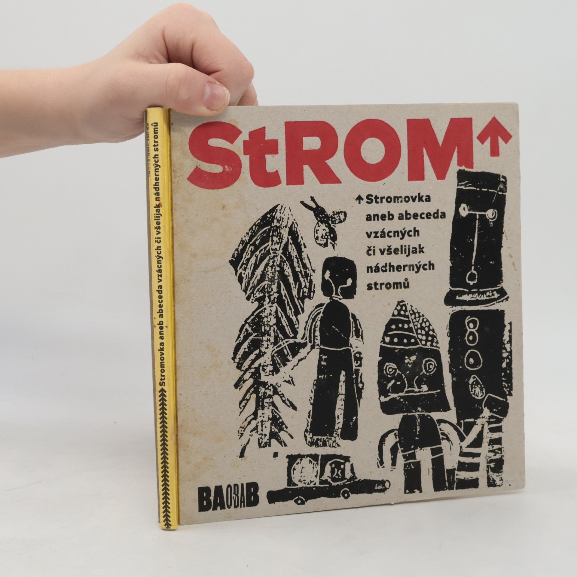 Jiří Dvořák Strom : stromovka, aneb, Abeceda vzácných či všelijakých nádherných stromů