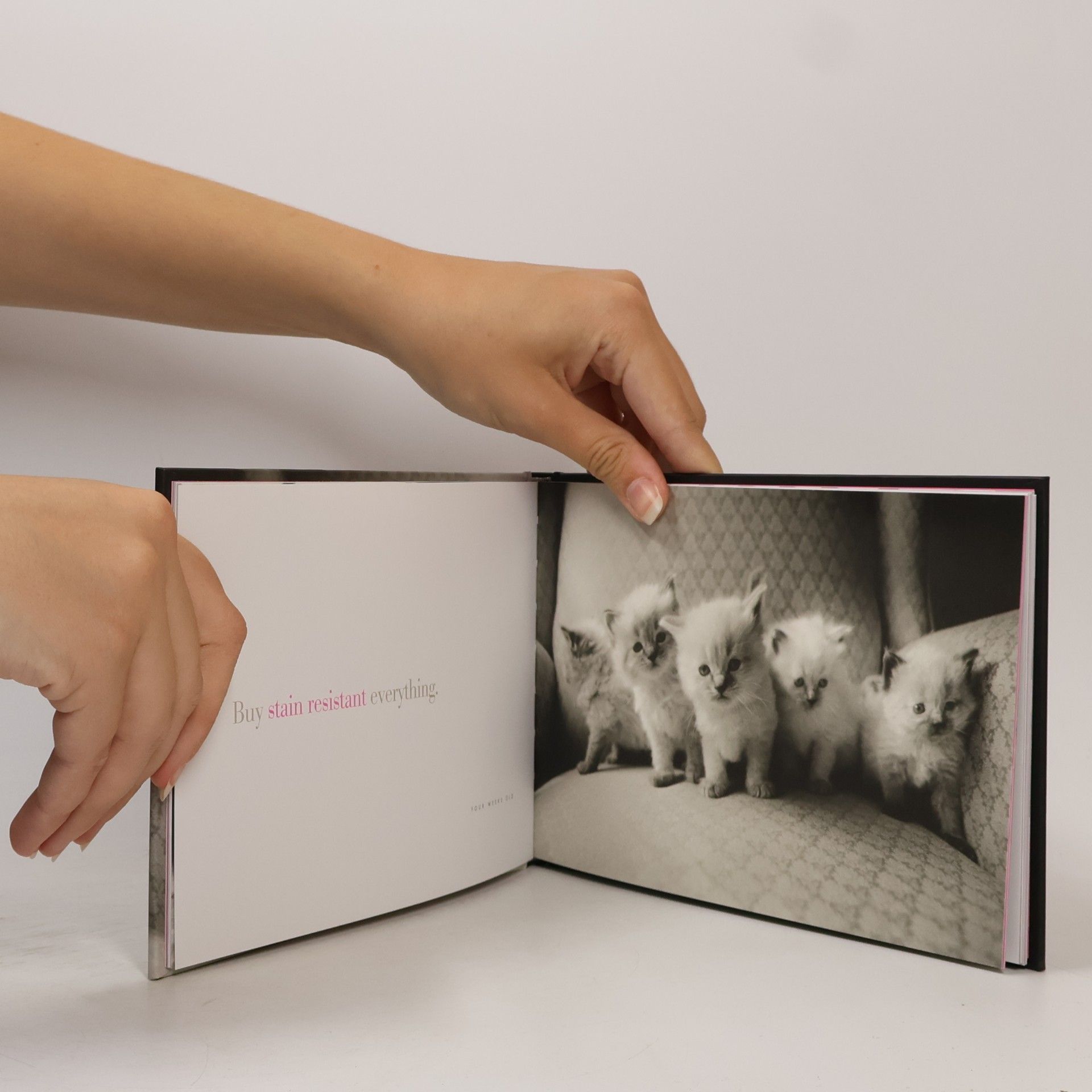 Christine Montaquila Cattitude Box Set