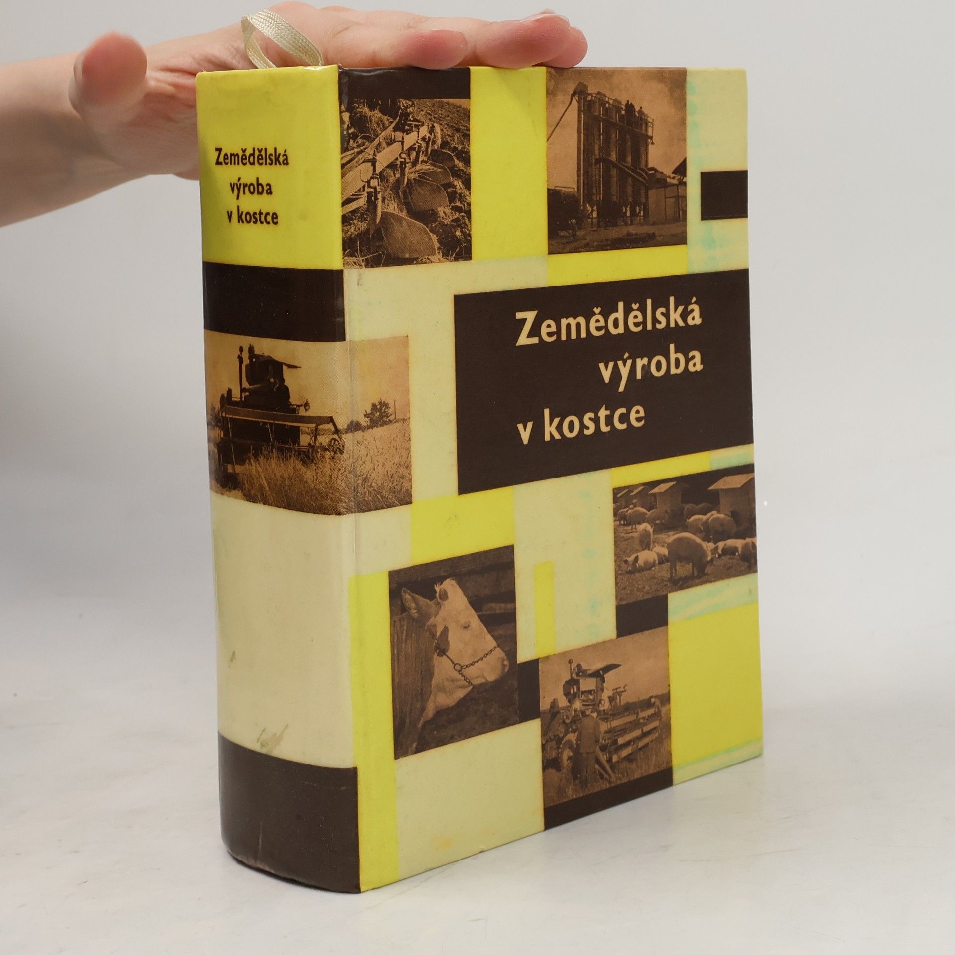 Vlastimil Forchtsam Zemědělská výroba v kostce