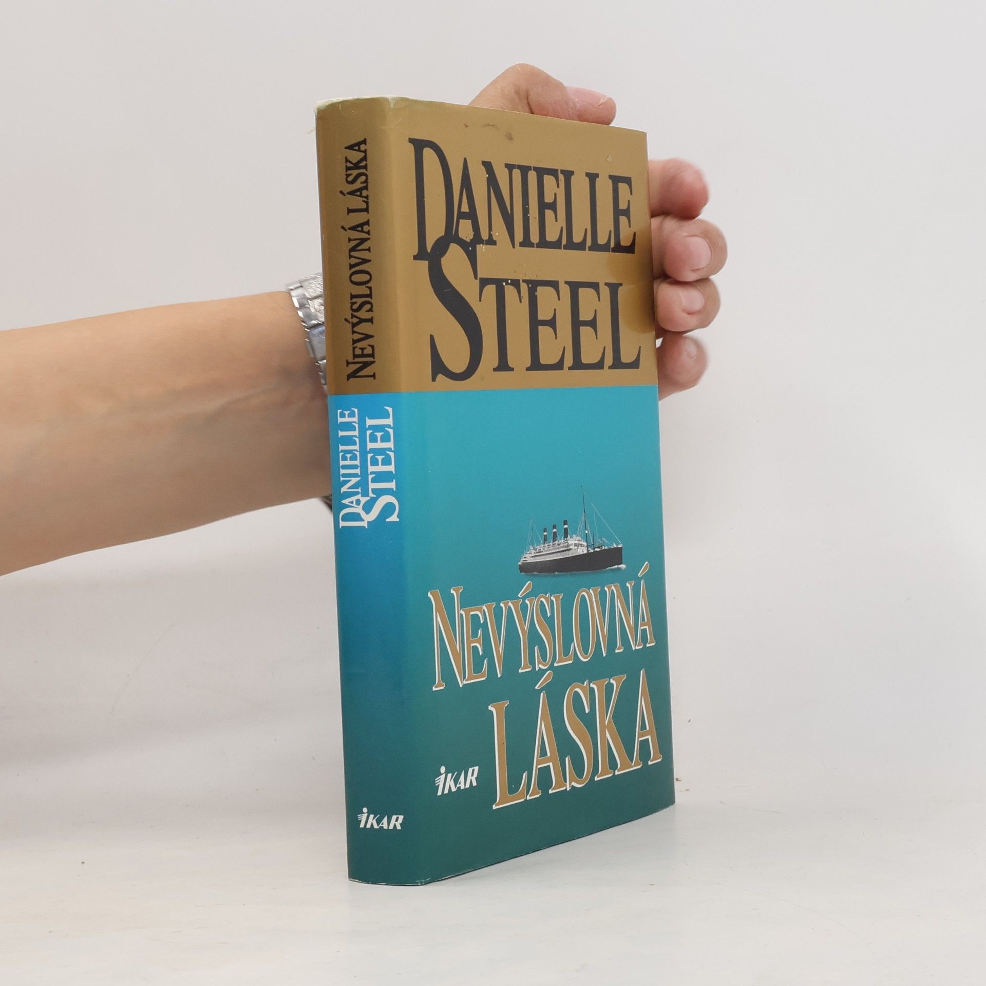 Danielle Steel Nevýslovná láska