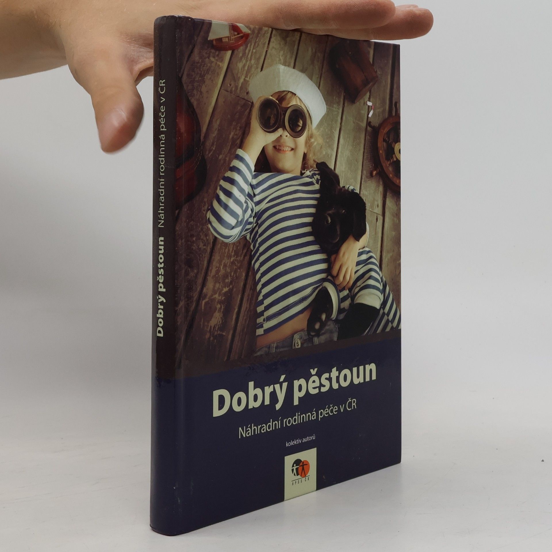 Kolektív autorov Dobrý pěstoun - náhradní rodinná péče v ČR