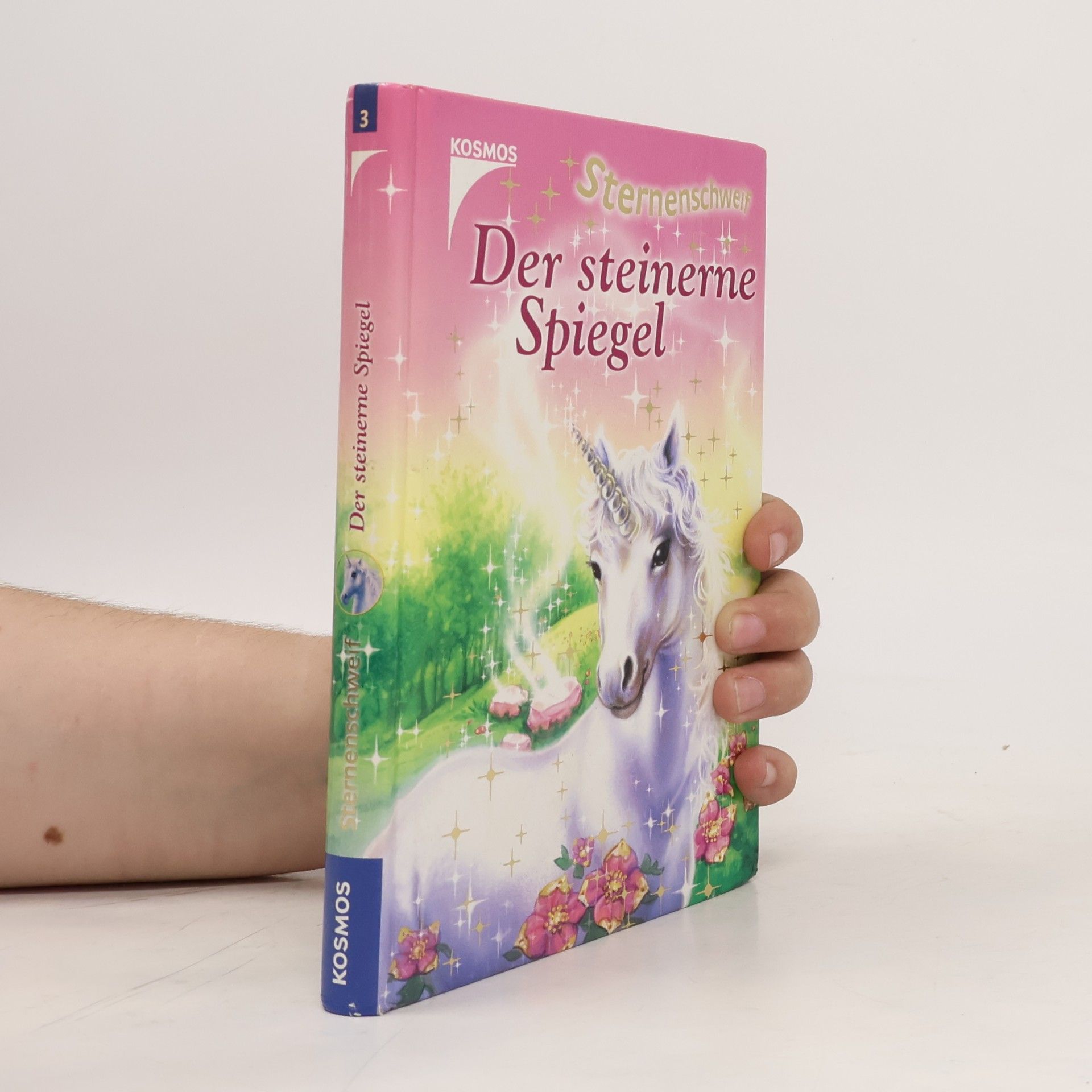 Linda Chapman Sternenschweif: Der steinerne Spiegel