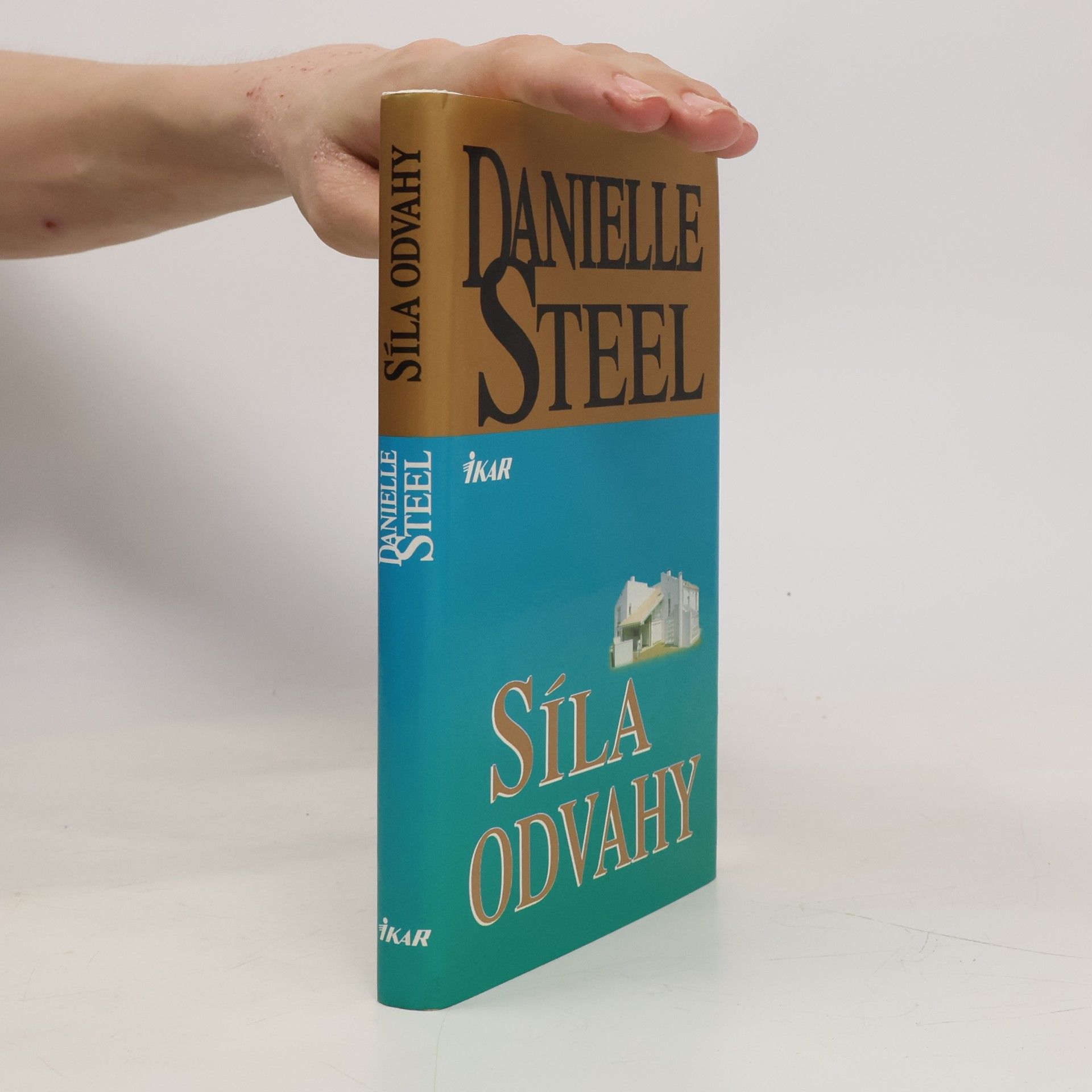 Danielle Steel Síla odvahy