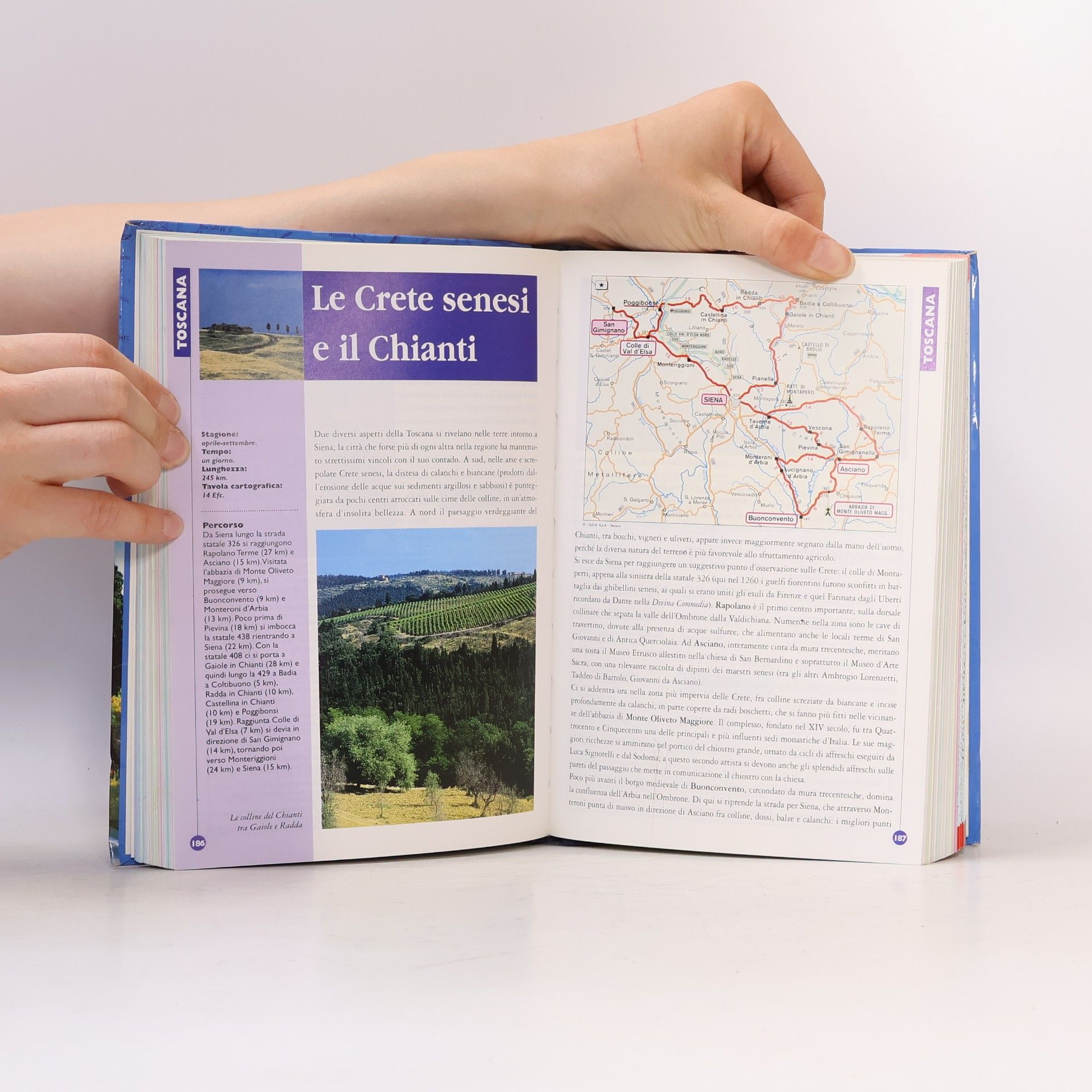 Various authors 100 Itinerari italiani