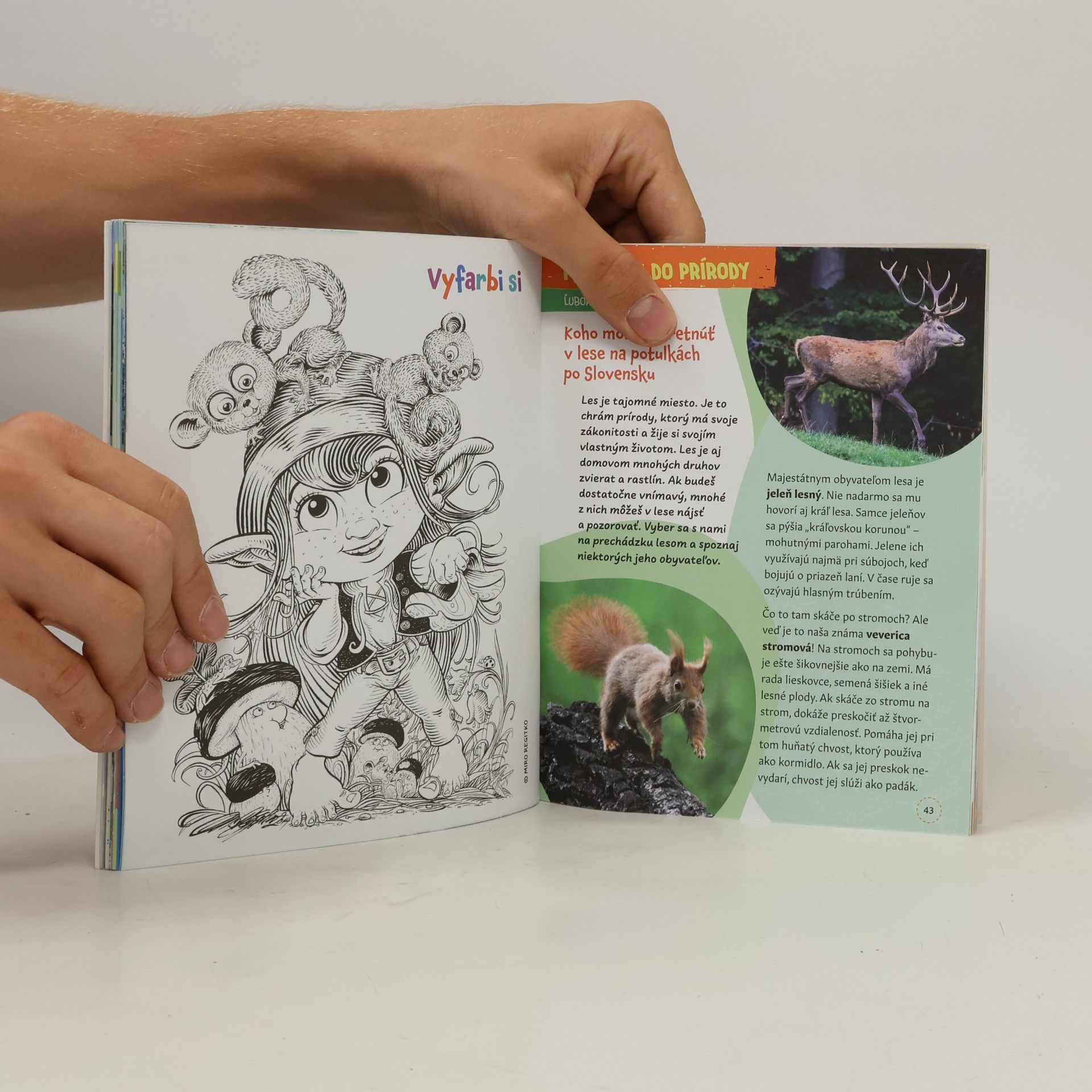 Autorenkollektiv Vlaky: Potulky po Slovensku