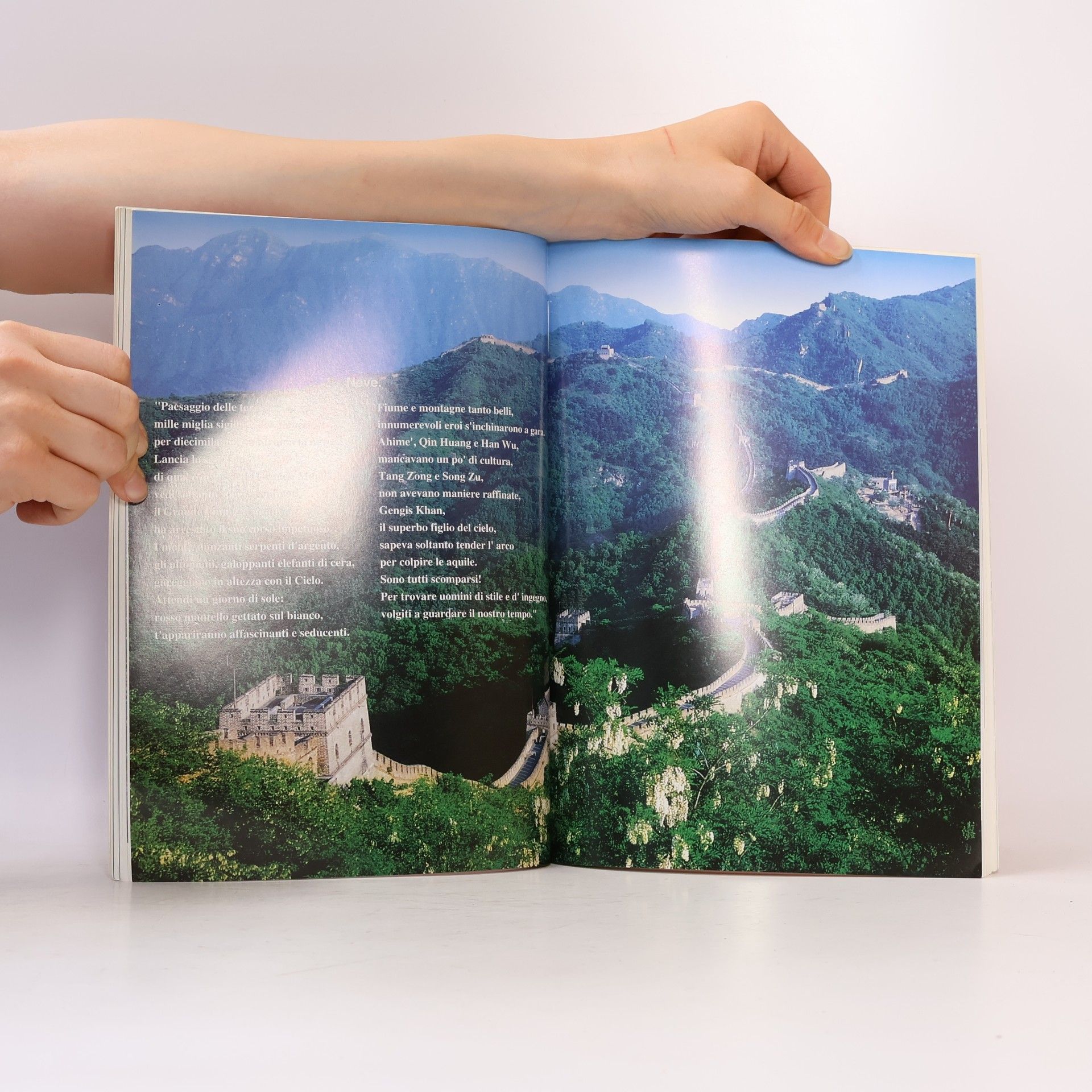 Gao Jinsong Beijing: edizione italiana