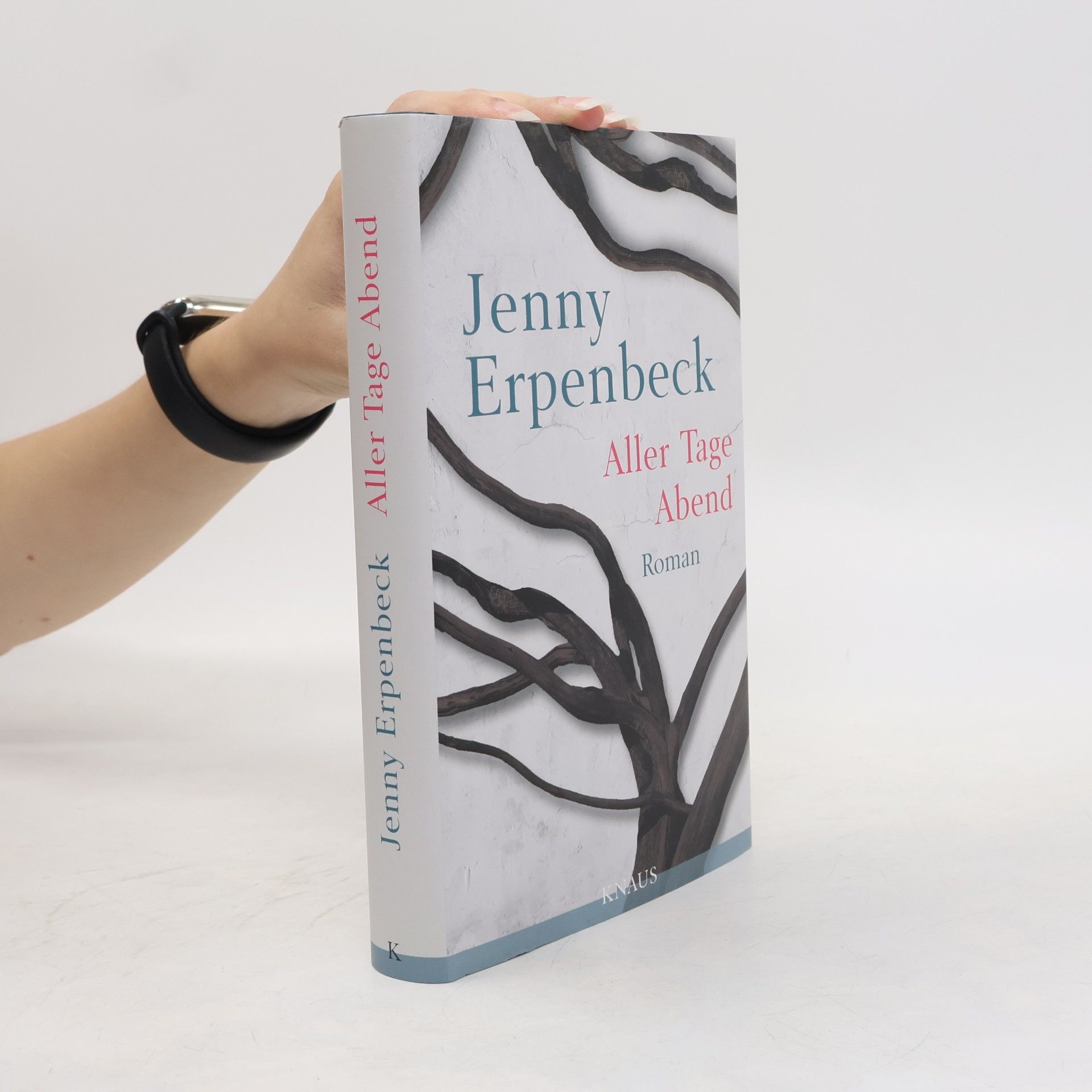 Jenny Erpenbeck Aller Tage Abend