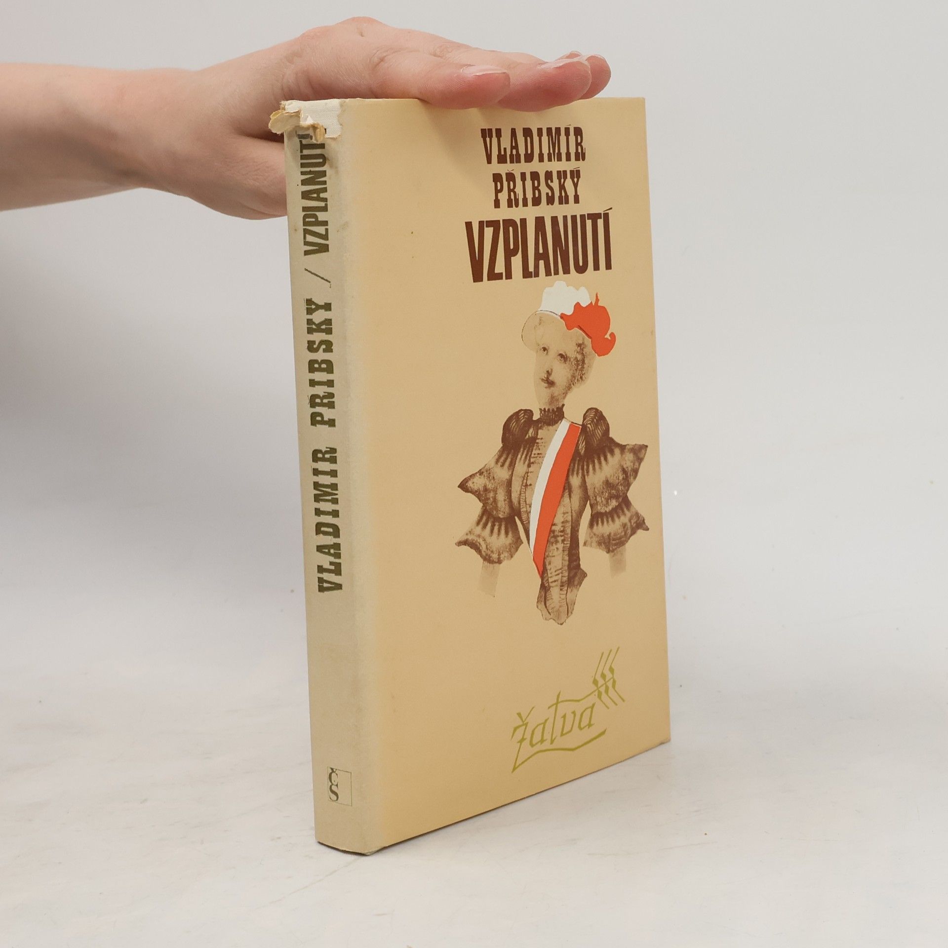 Vladimír Přibský Vzplanutí