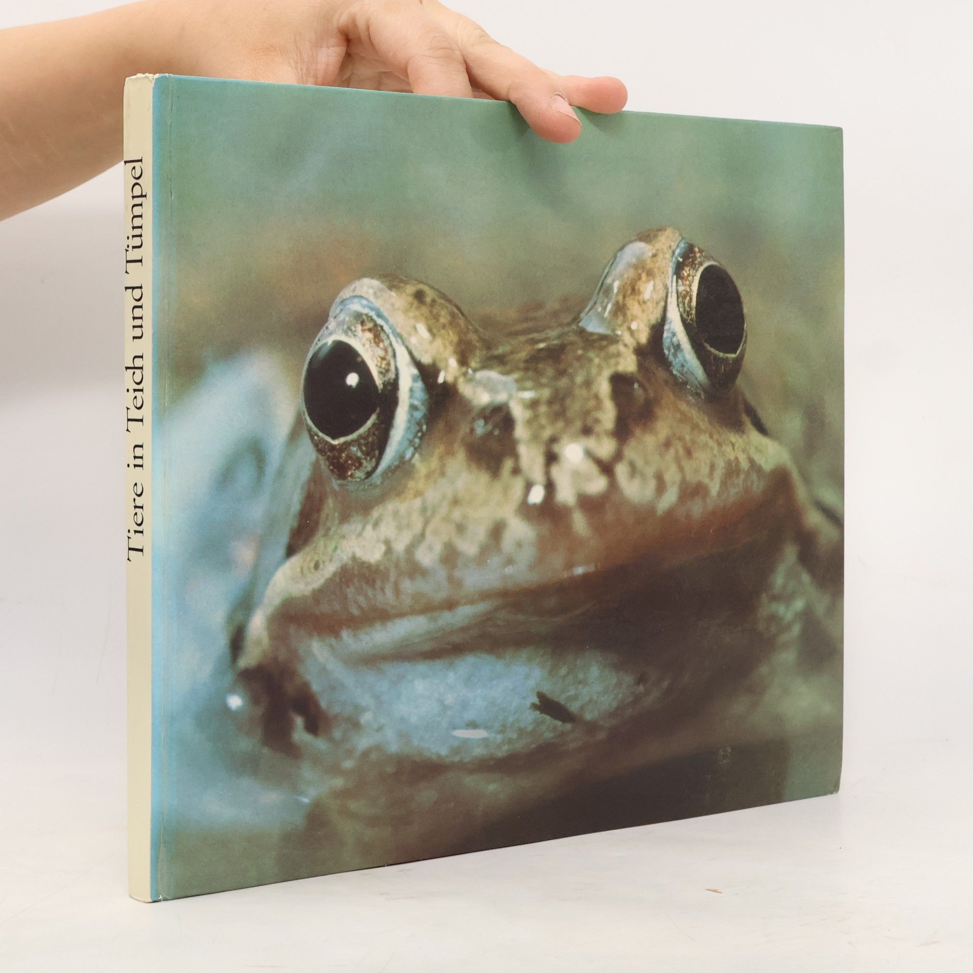 Klaus Paysan Tiere in Teich und Tümpel