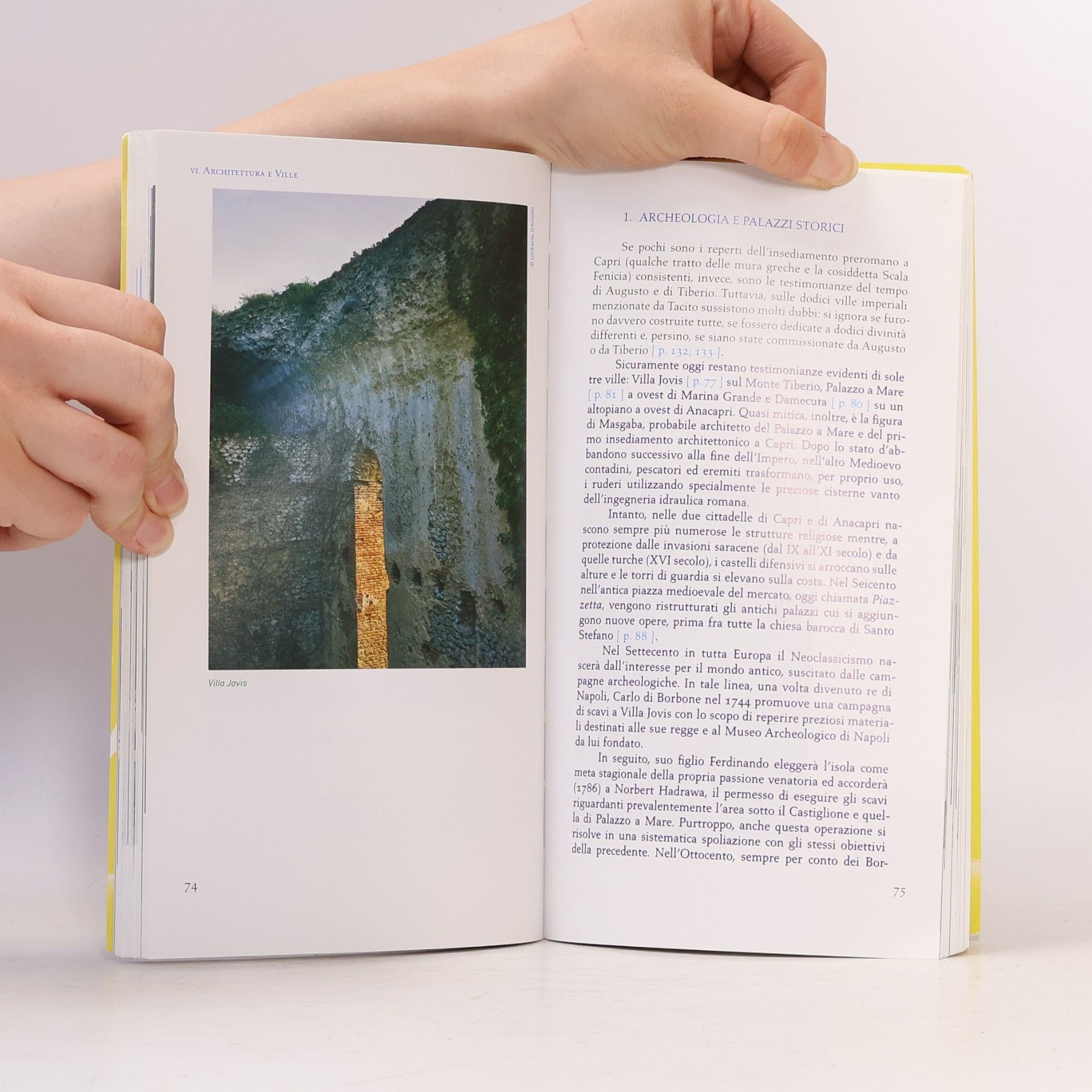 Sergio Prozzillo Capri l'azzurra. Storia luoghi di mare itinerari persone arte e architettura dell'isola