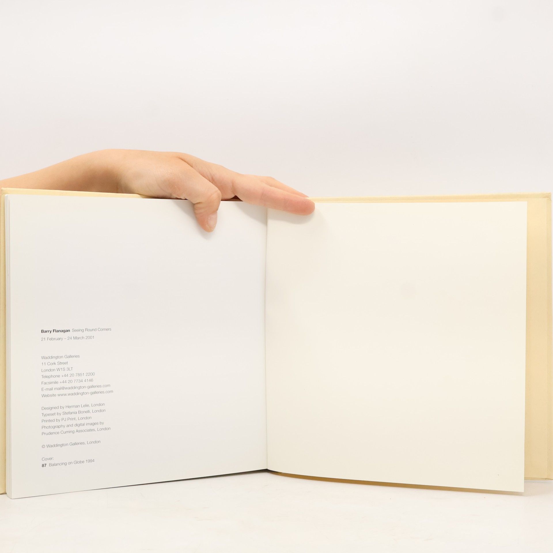 Barry Flanagan Seeing Round Corners