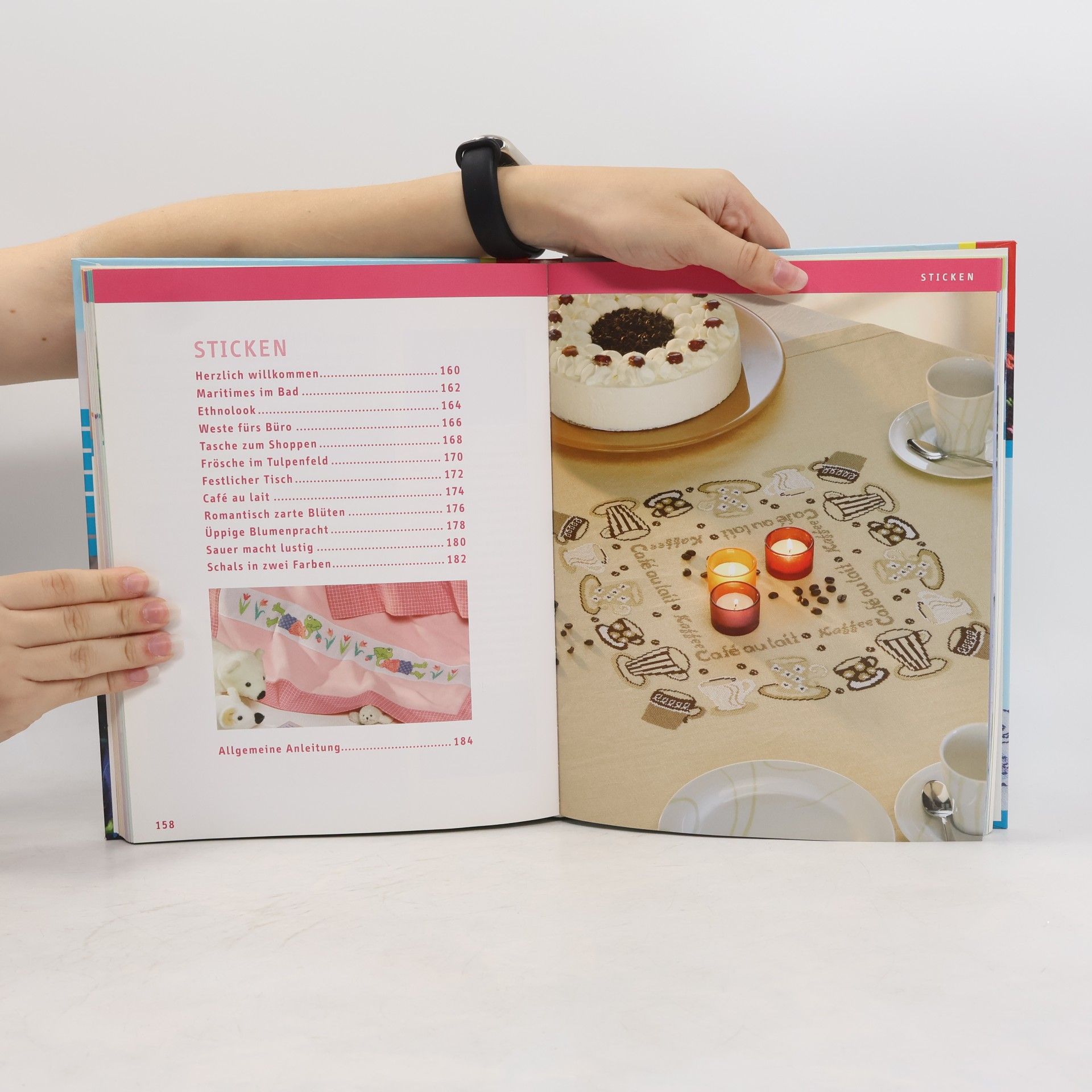 Das große TOPP-Handarbeitsbuch