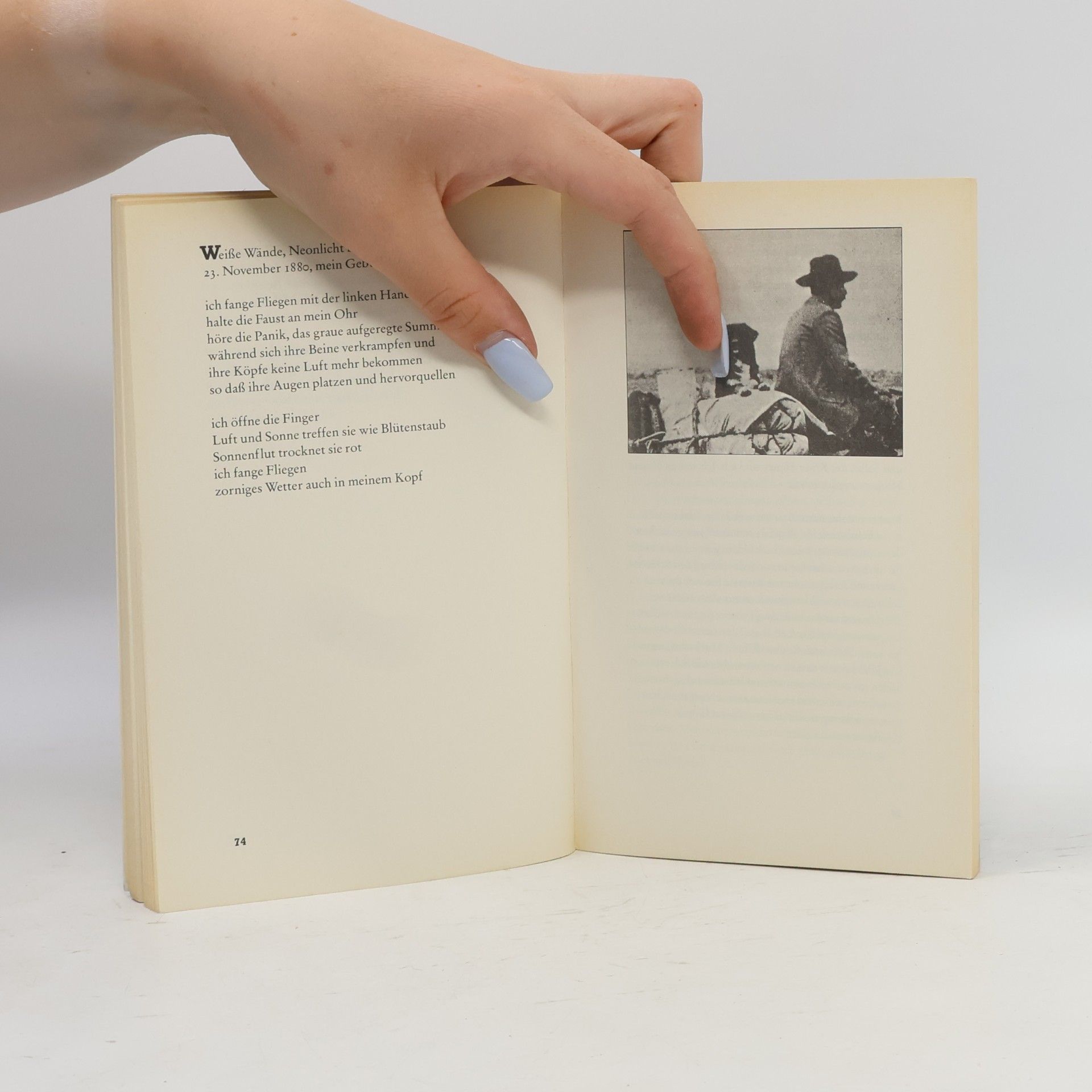 Michael Ondaatje Die gesammelten Werke von Billy the Kid