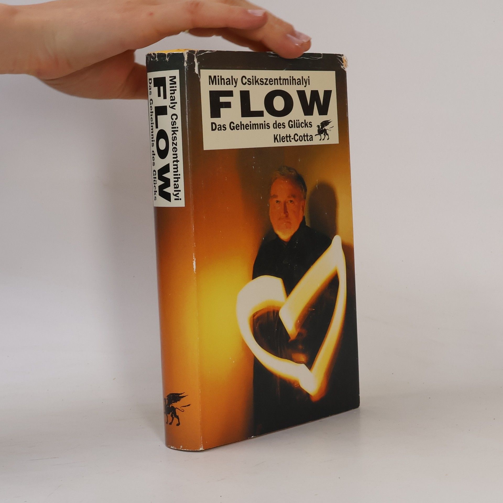 Mihaly Csikszentmihalyi FLOW Das Geheimnis des Glücks