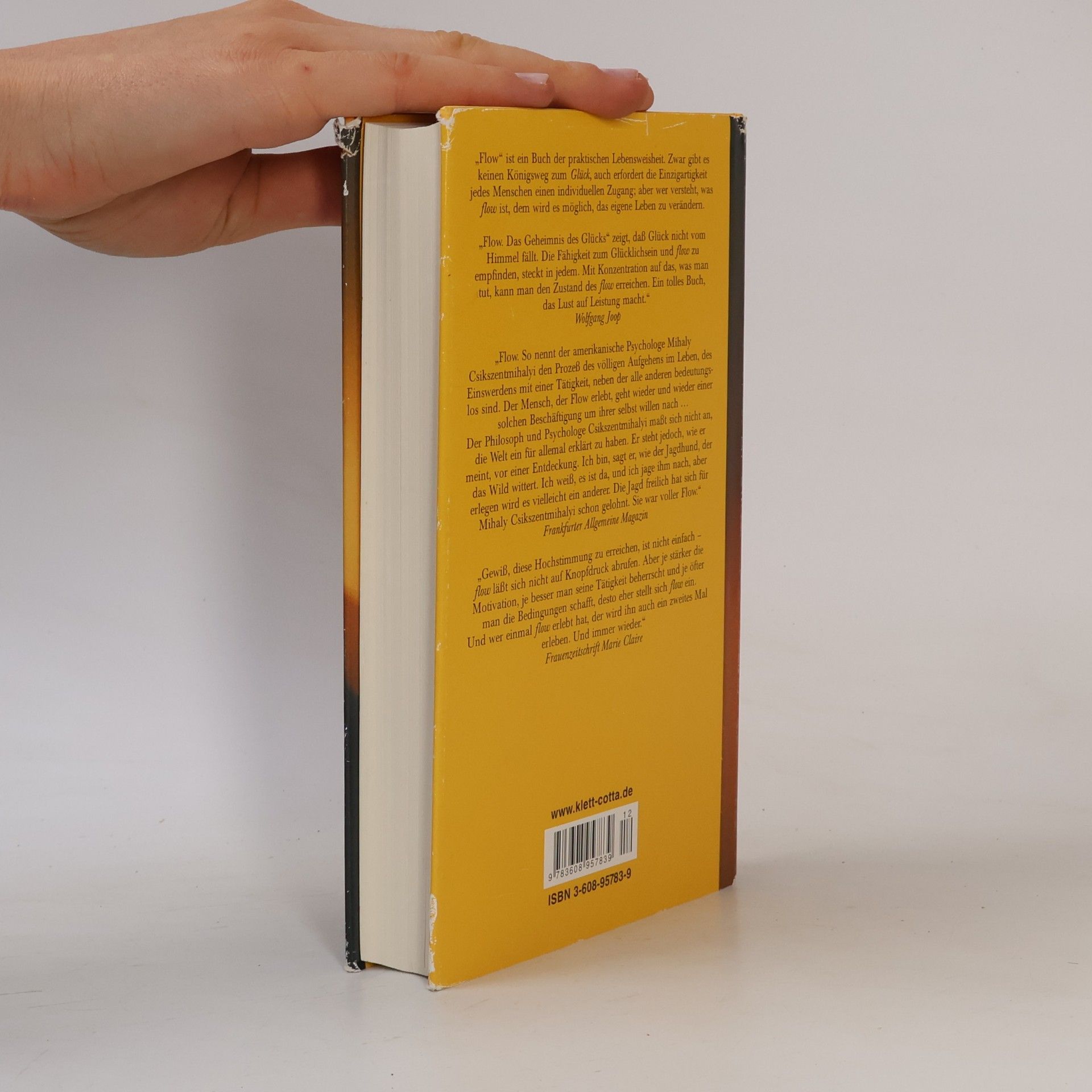 Mihaly Csikszentmihalyi FLOW Das Geheimnis des Glücks