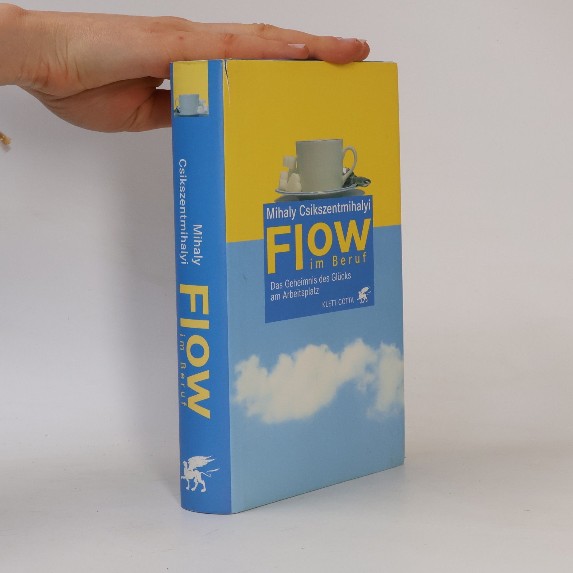 Flow im Beruf