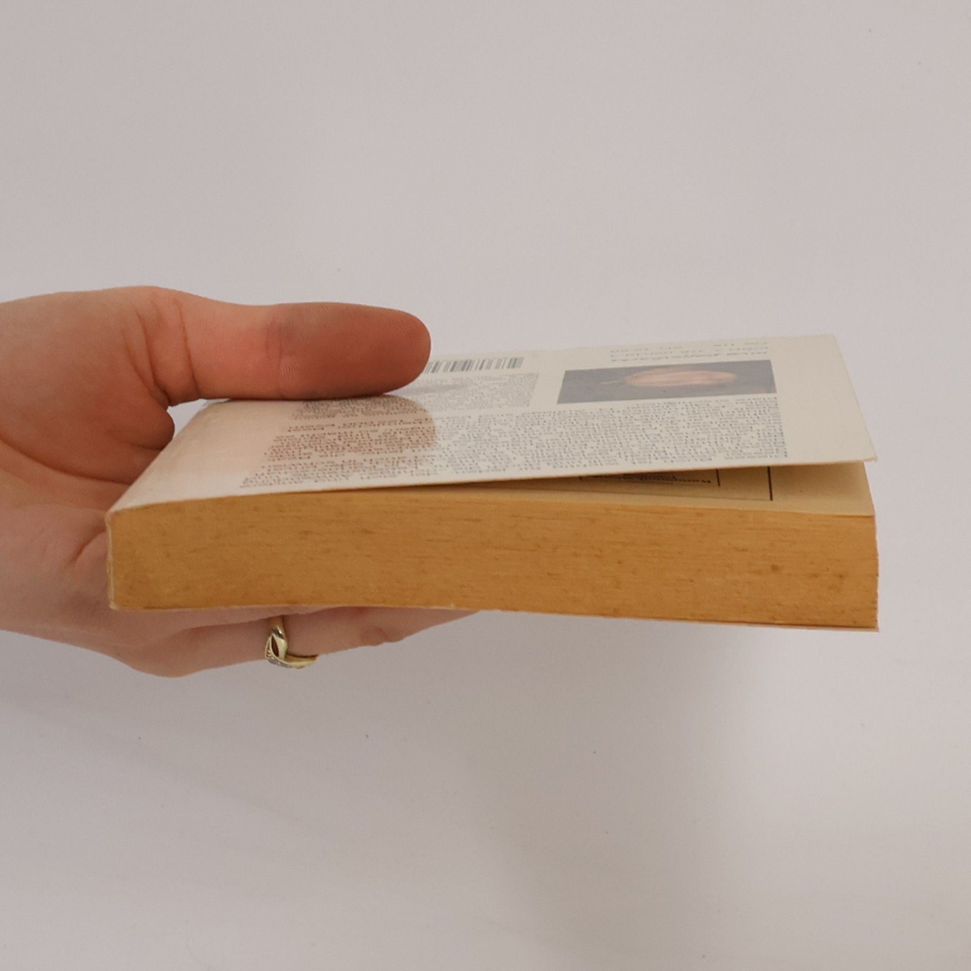 Vera F. Birkenbihl Kommunikationstraining