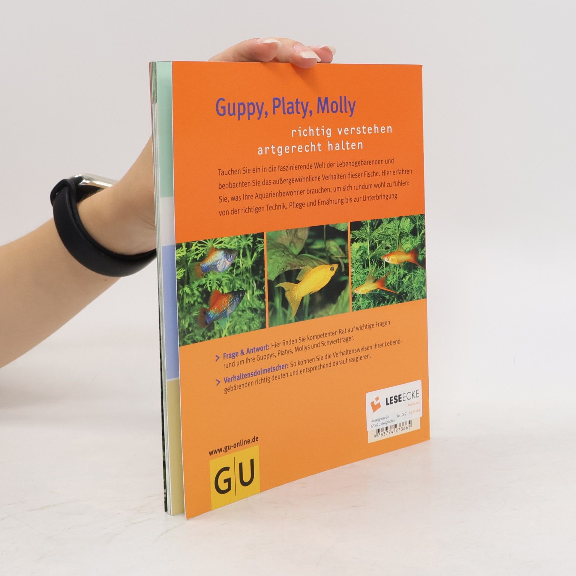 Harro Hieronimus Guppy, Platy, Molly
