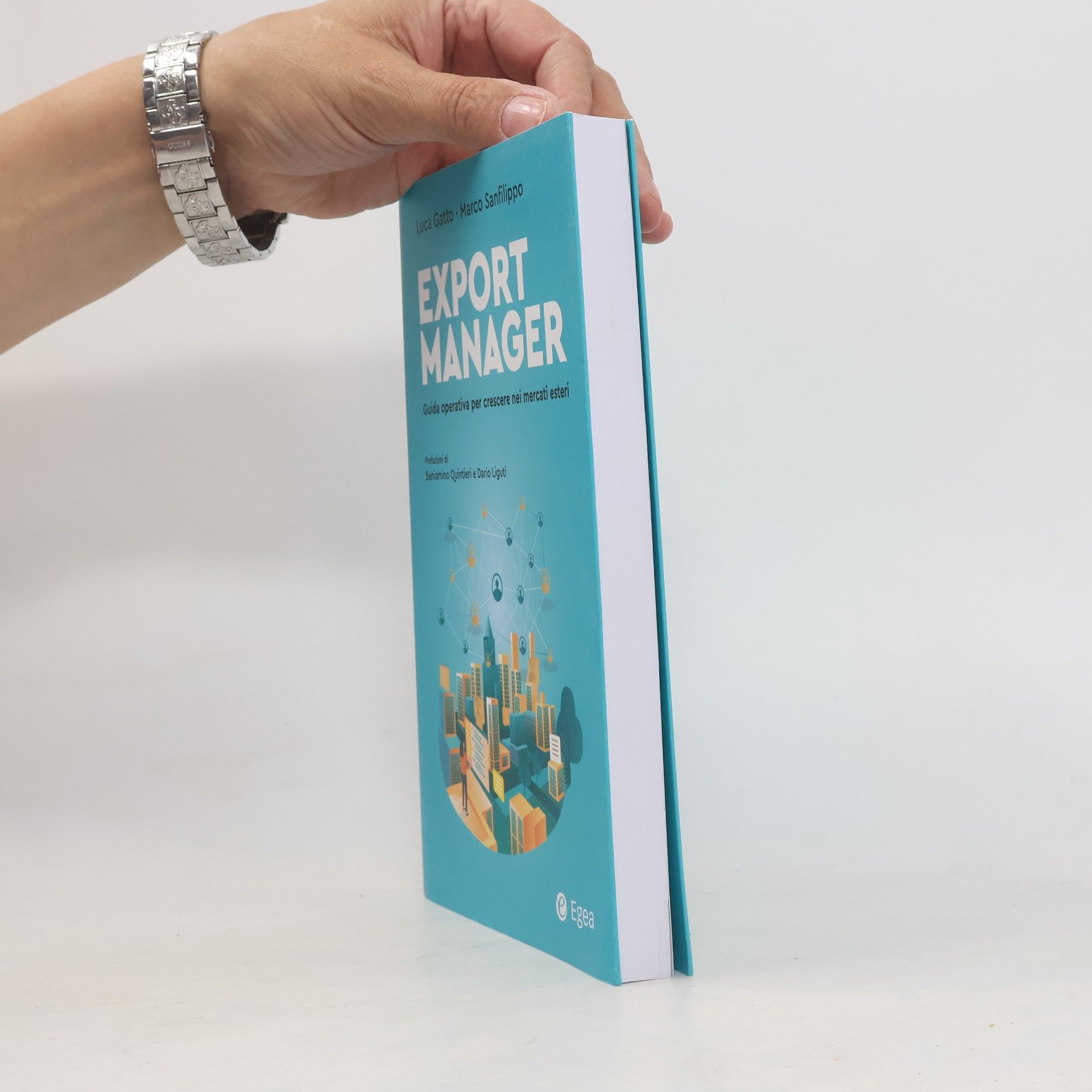 Luca Gatto Business e oltre: Export Manager. Guida operativa per crescere nei mercati esteri