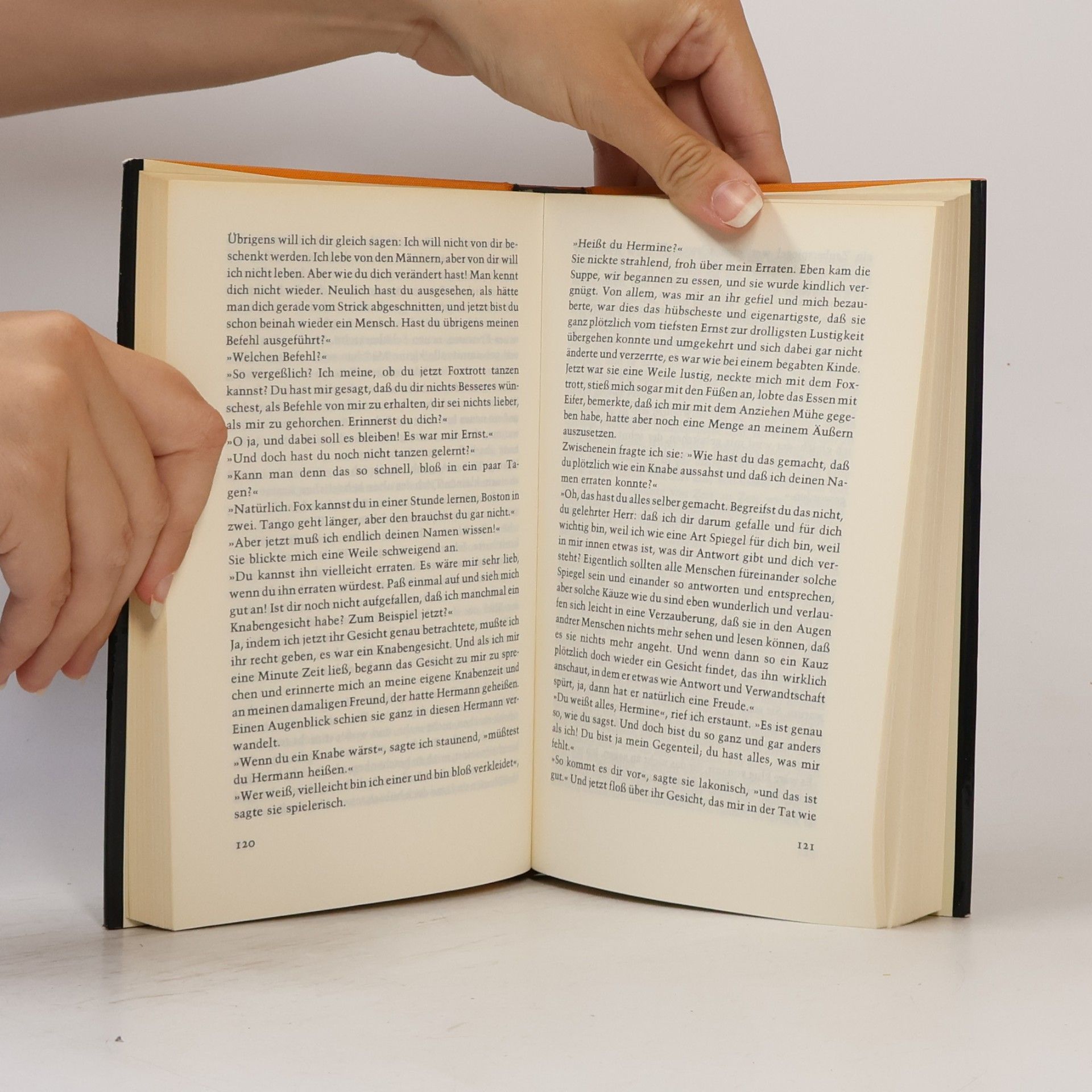 Hermann Hesse Der Steppenwolf
