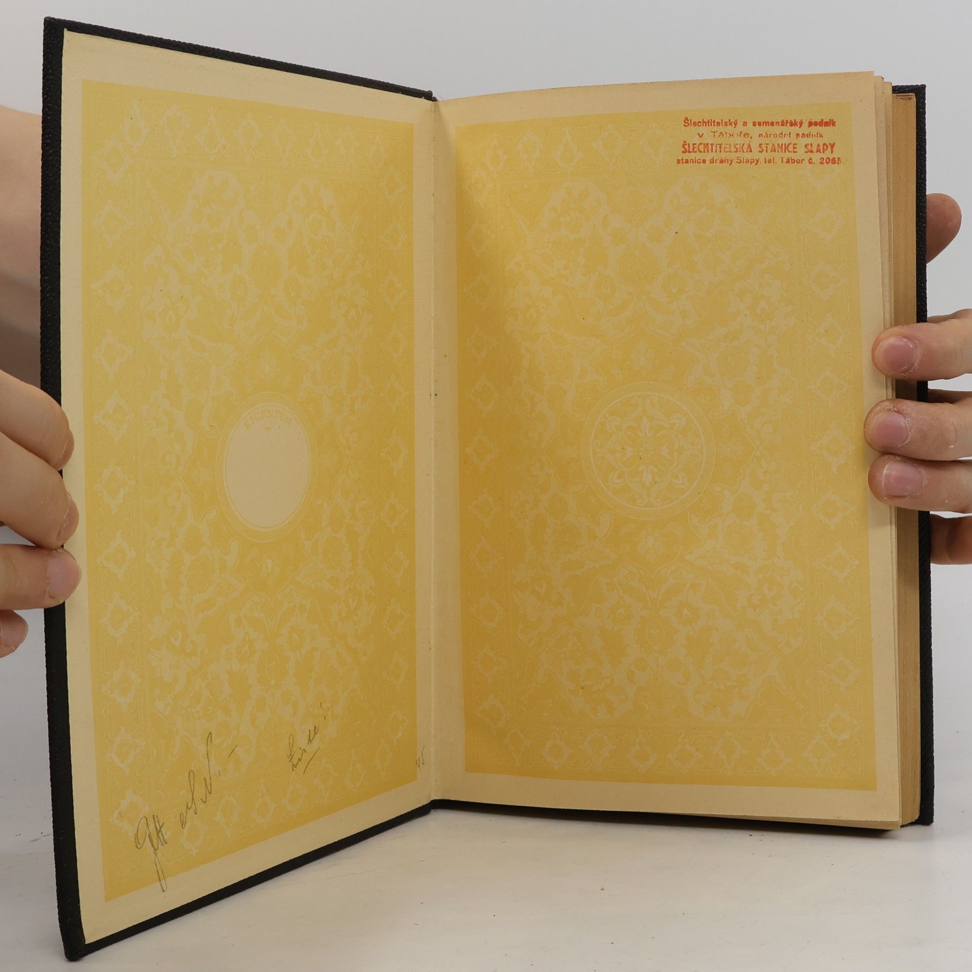 L. Reh Handbuch der Pflanzenkrankheiten IV.