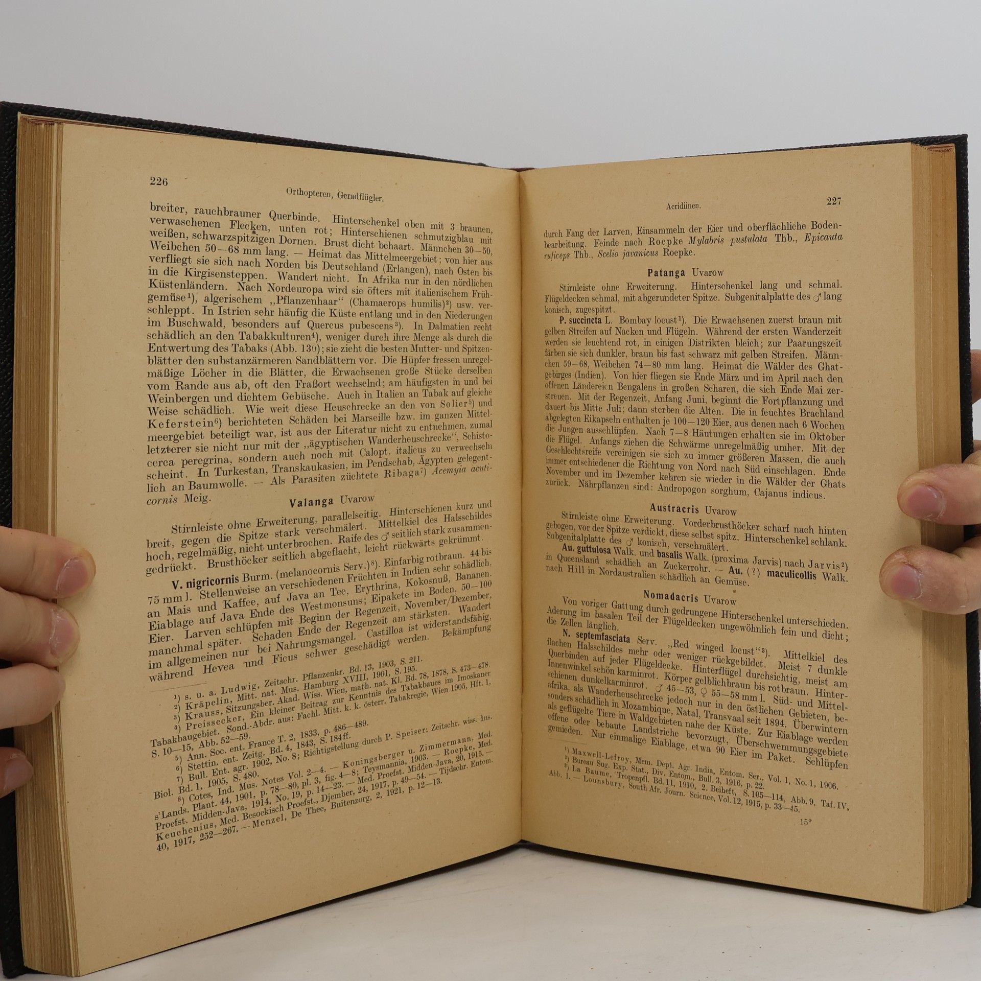 L. Reh Handbuch der Pflanzenkrankheiten IV.
