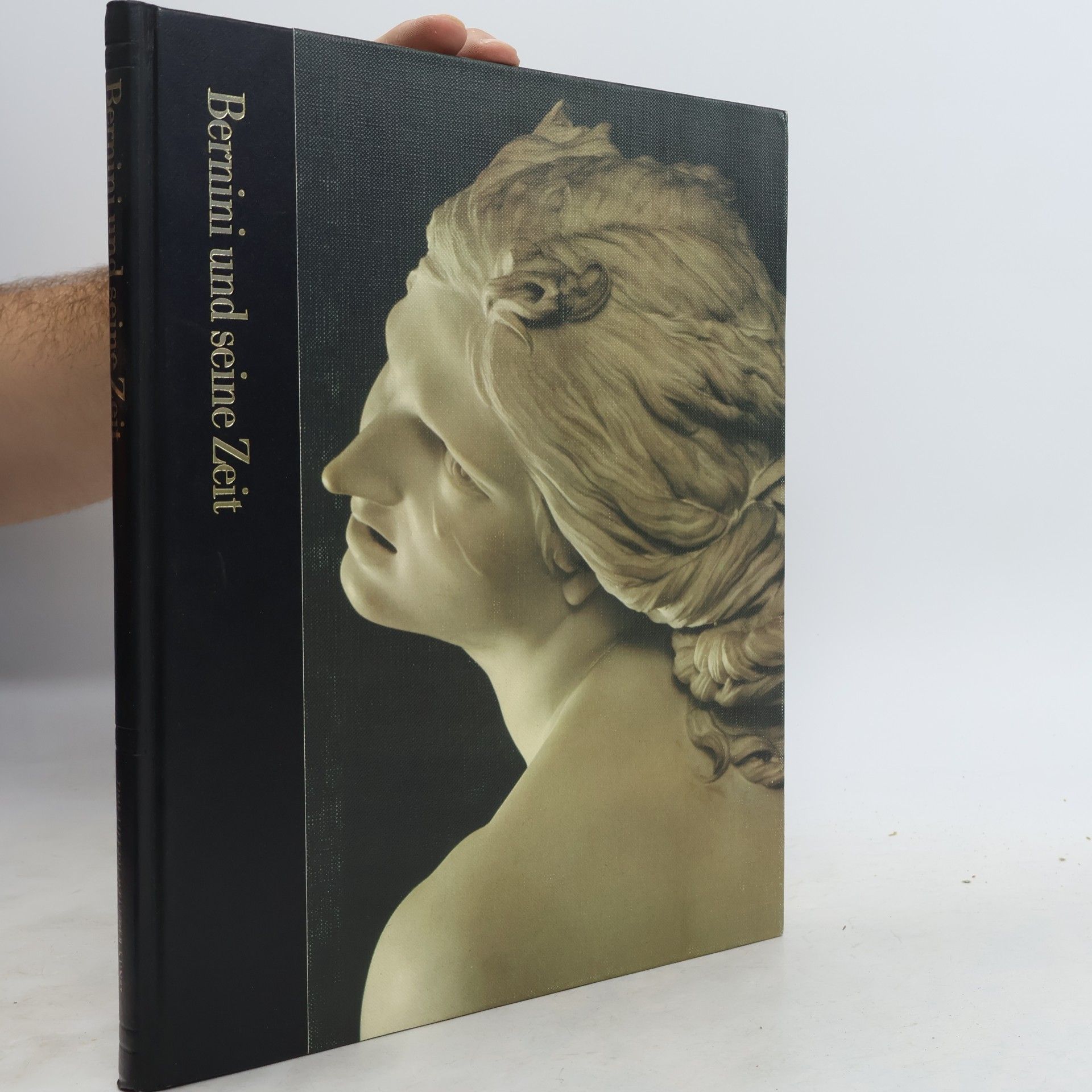 Robert Wallace Bernini und seine Zeit