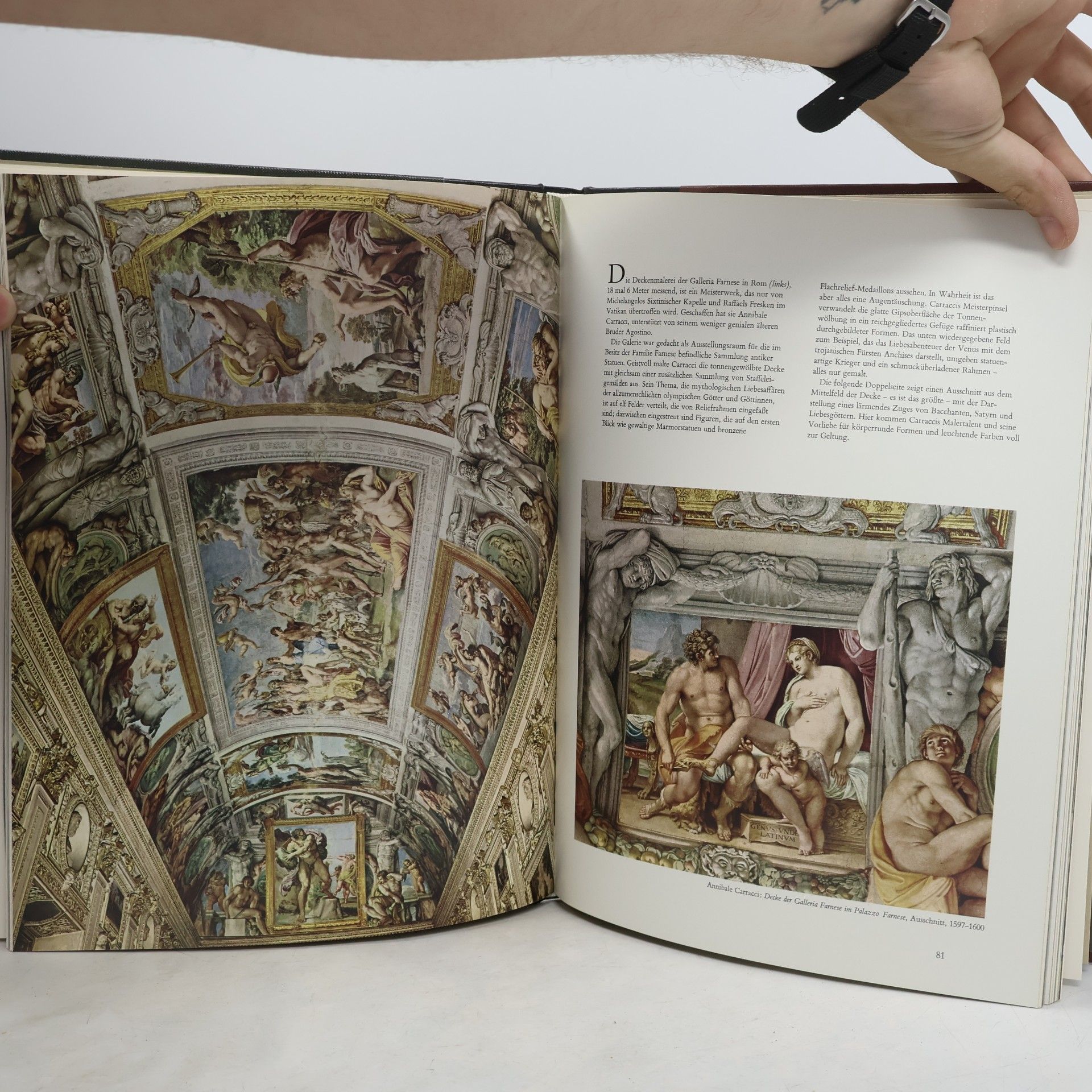Robert Wallace Bernini und seine Zeit