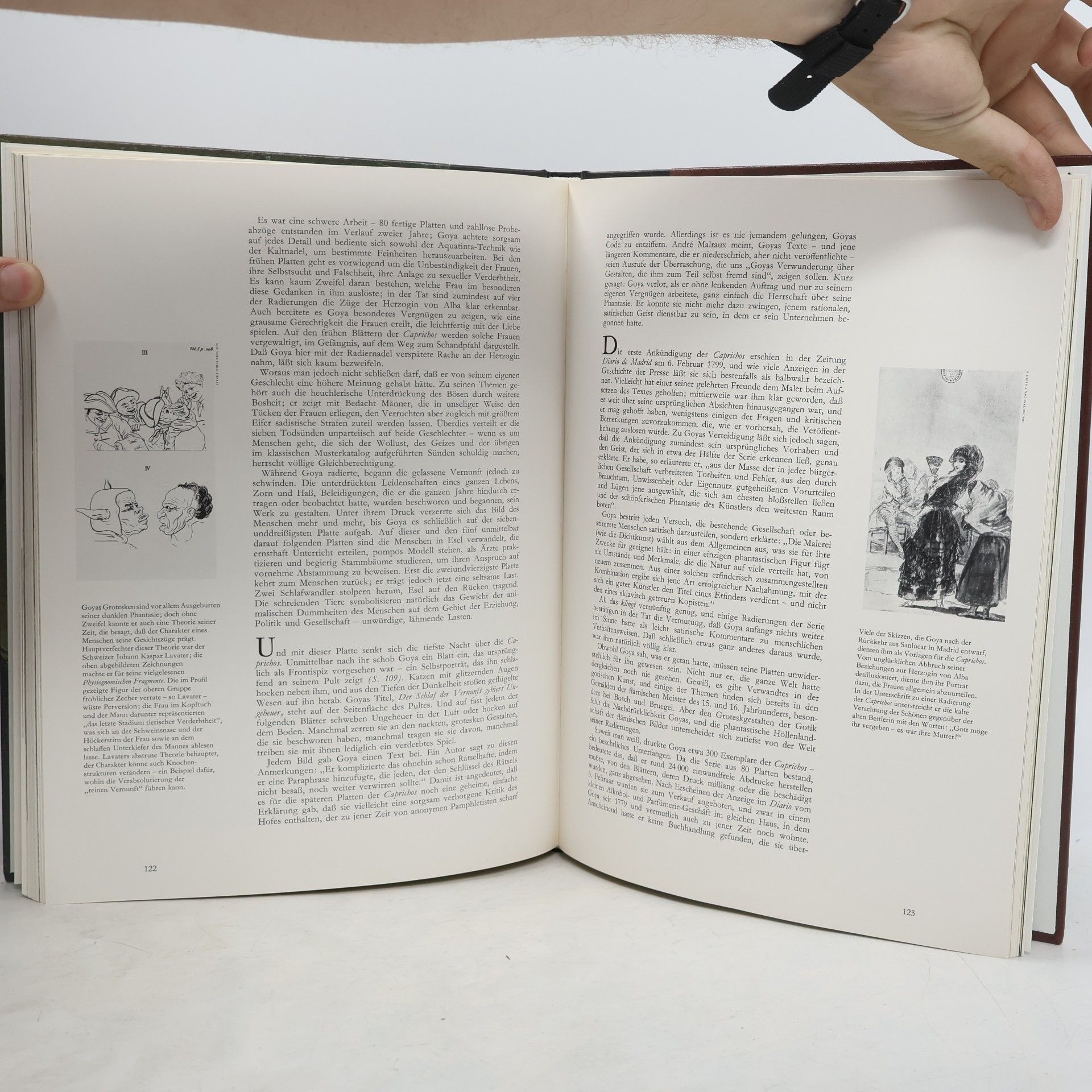 Autorenkollektiv Goya und seine Zeite