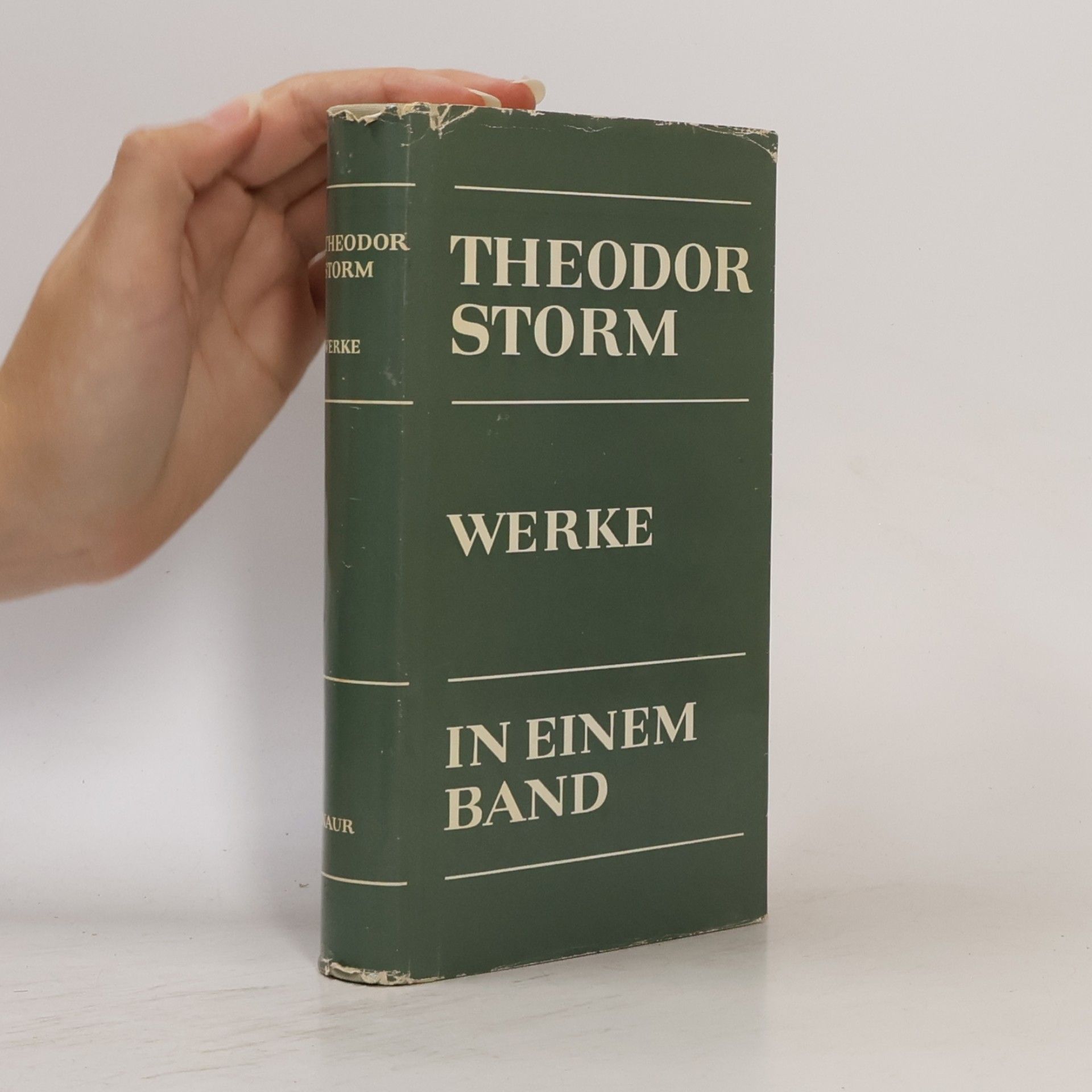 Theodor Storm Werke in einem Band