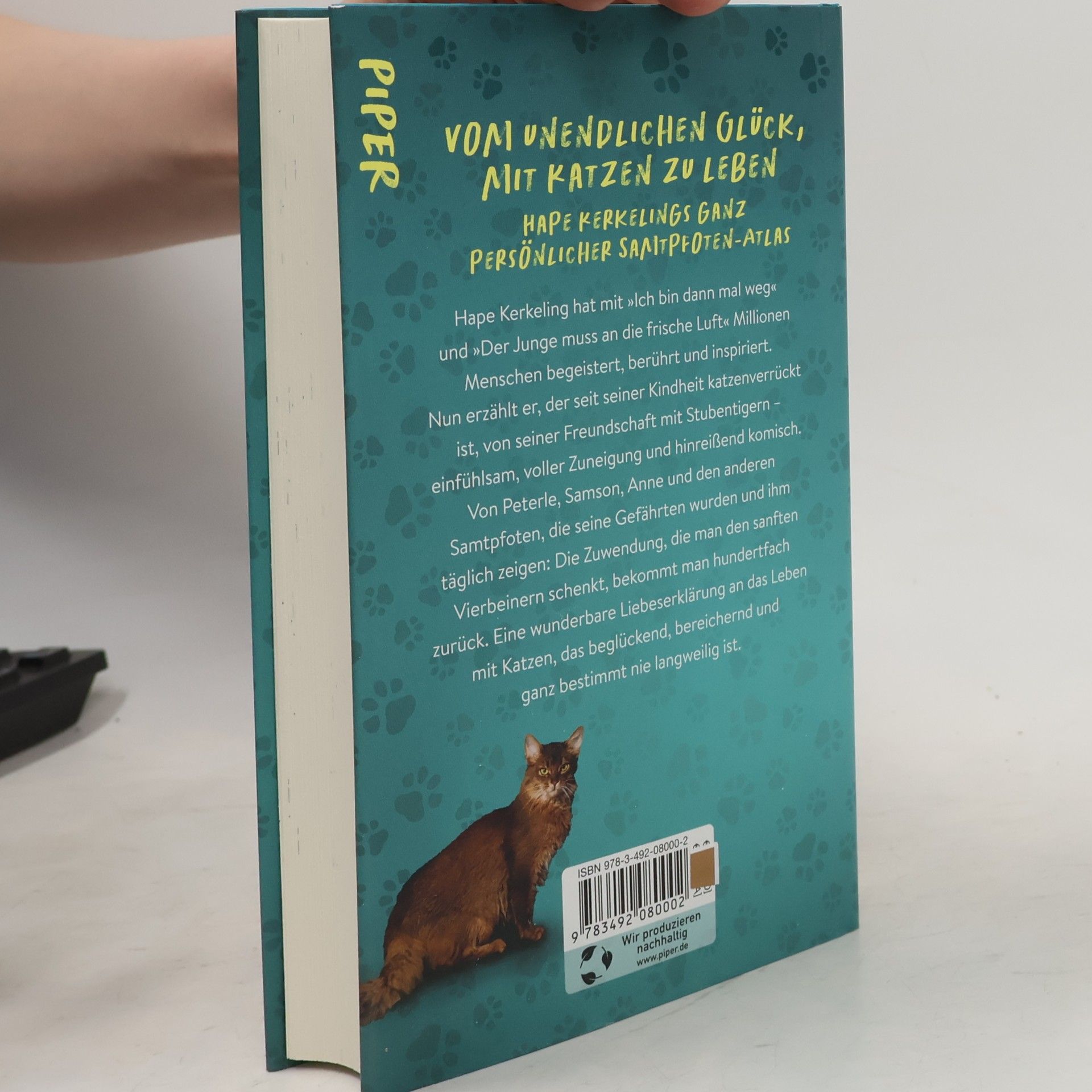Hape Kerkeling Pfoten vom Tisch! : Meine Katzen, andere Katzen und ich