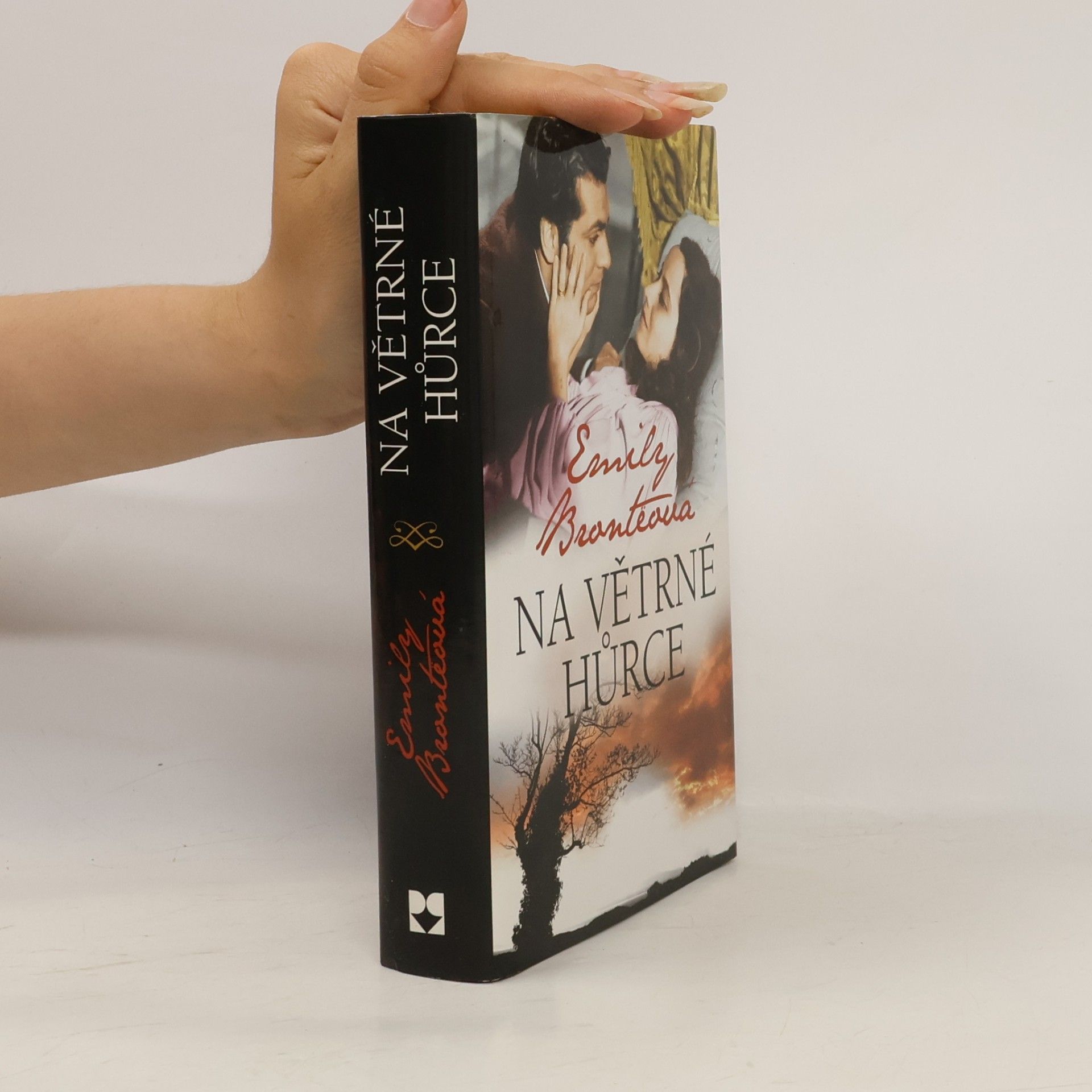 Emily Brontë Na Větrné hůrce
