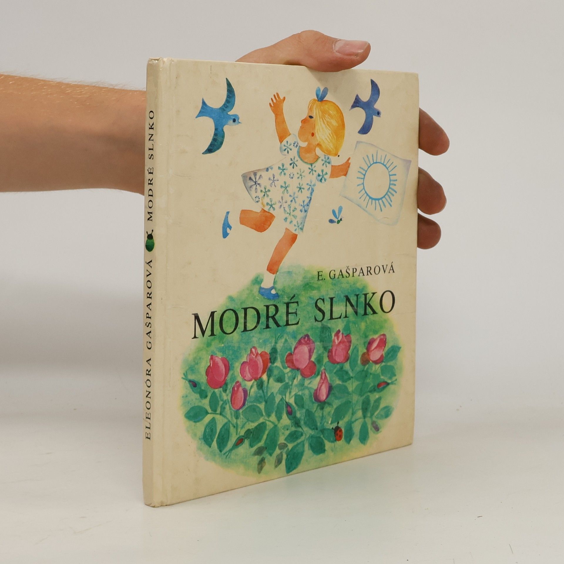 Blanka Votavová Modré slnko