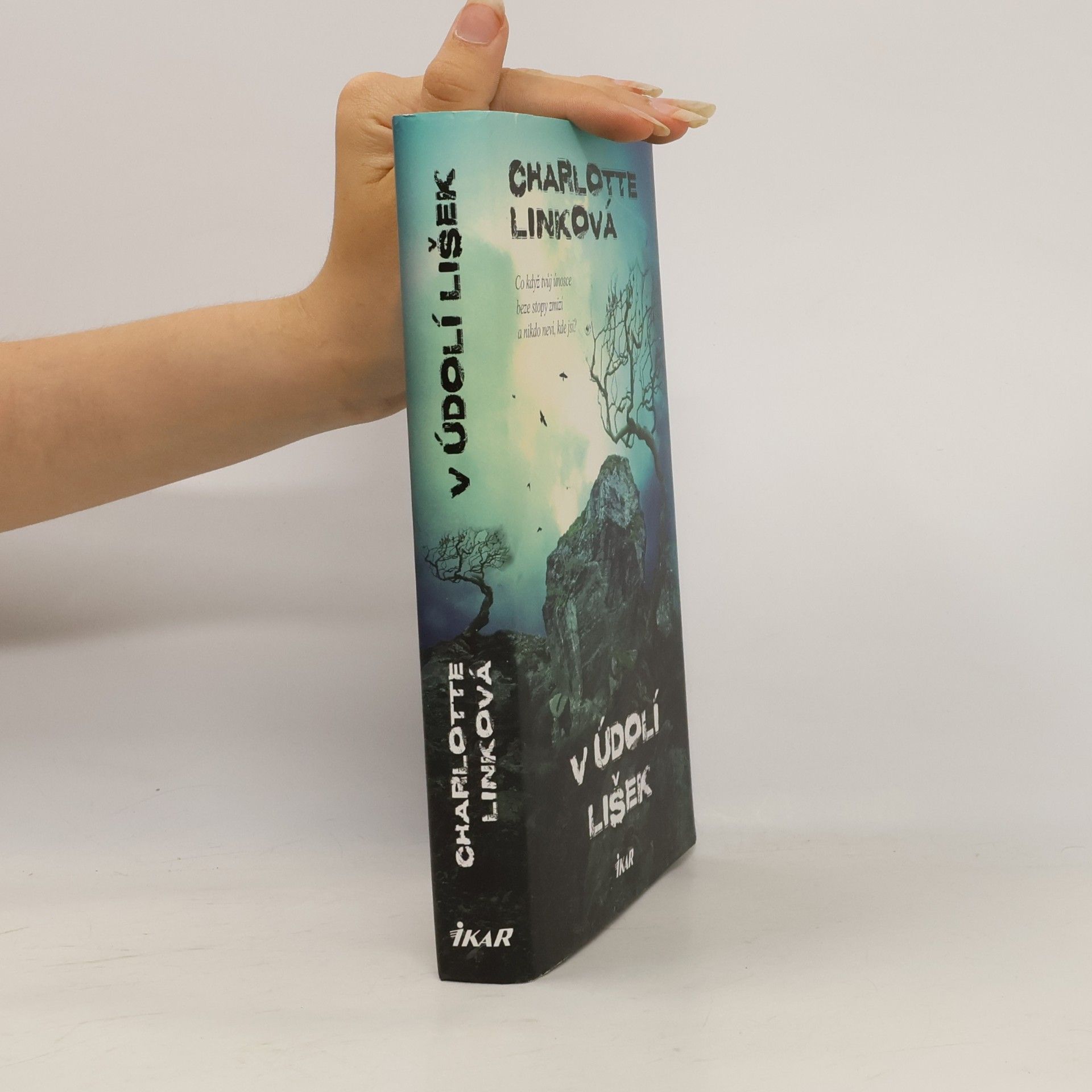 Charlotte Link V údolí lišek