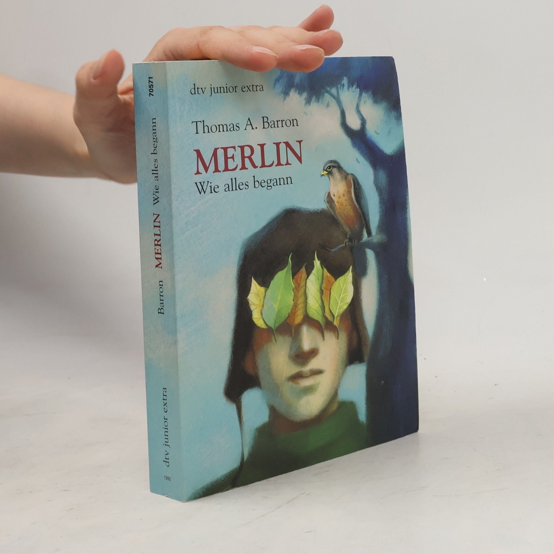 T. A. Barron Merlin. Wie alles begann