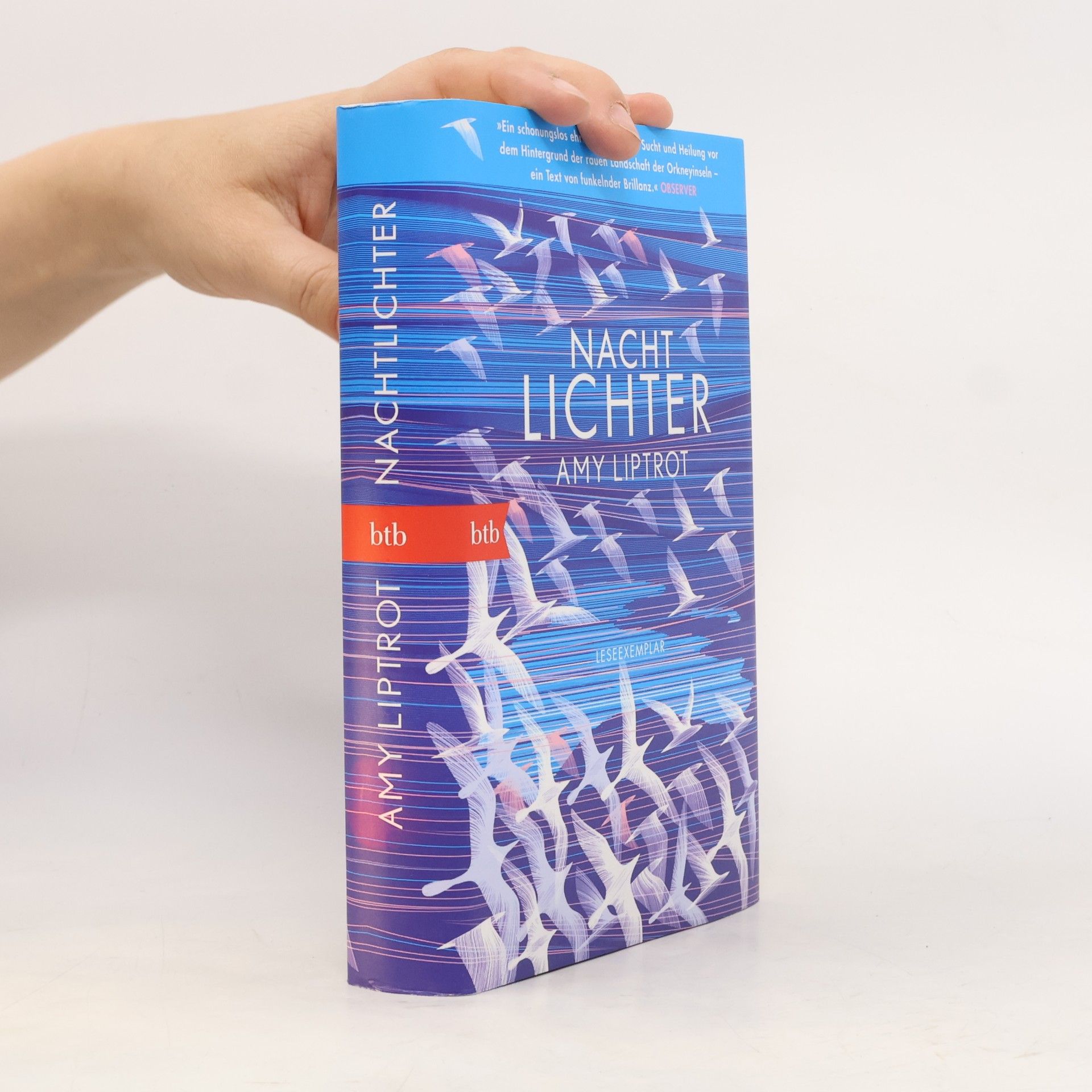 Amy Liptrot Nachtlichter