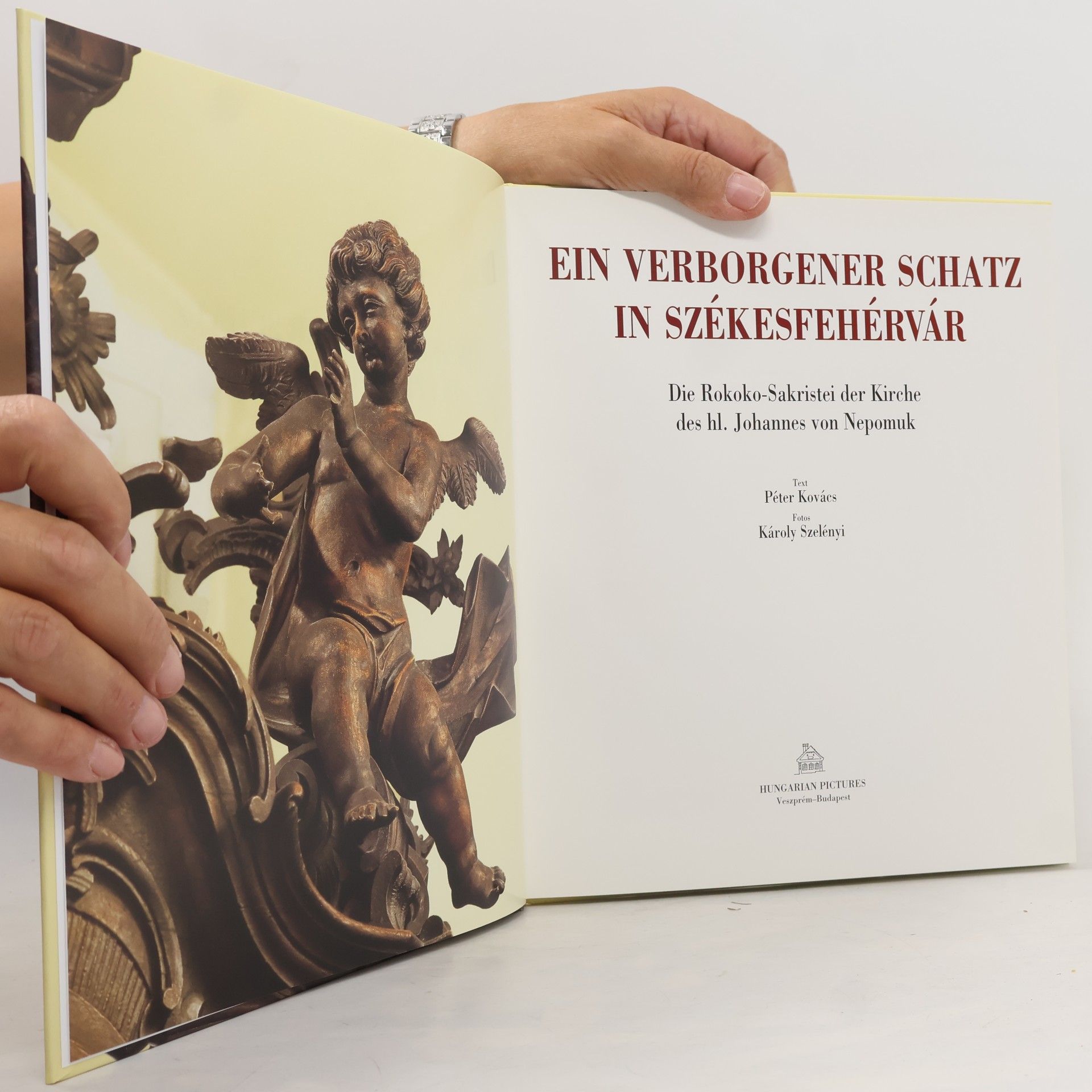 Péter Kovács Ein verborgener Schatz in Székesfehérvár